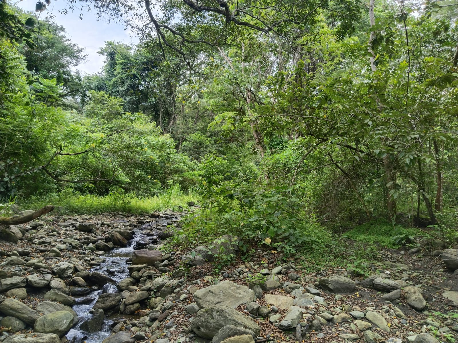 Finca - Ebéjico, Antioquia - 6