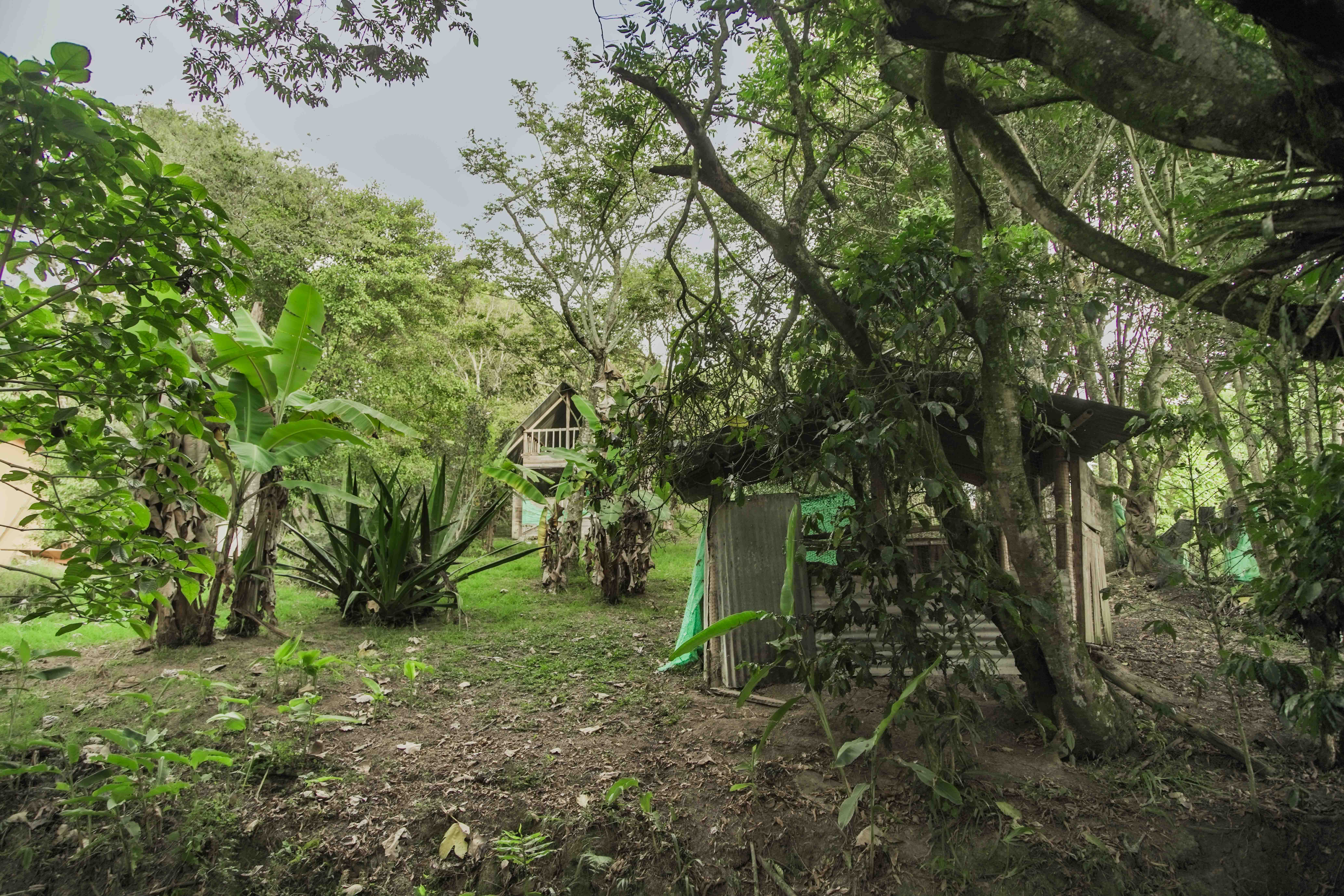 Finca en venta - Fusagasuga, Cundinamarca - 8