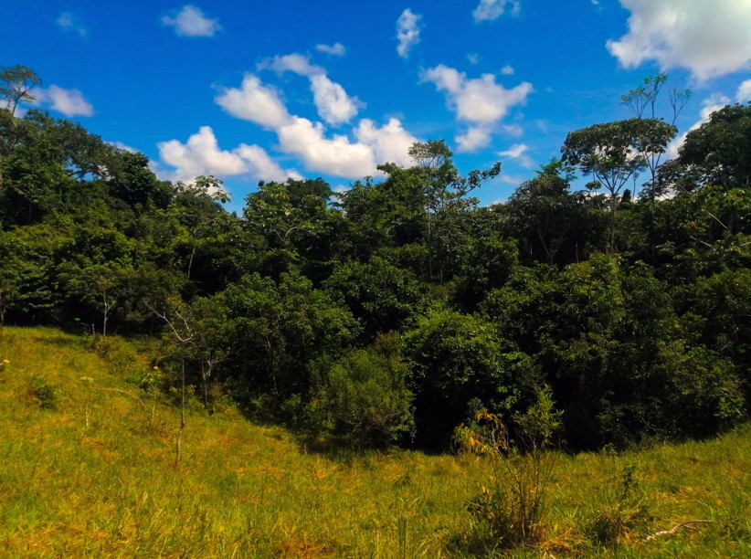 Finca en Venta - Taraza, Antioquia - 10