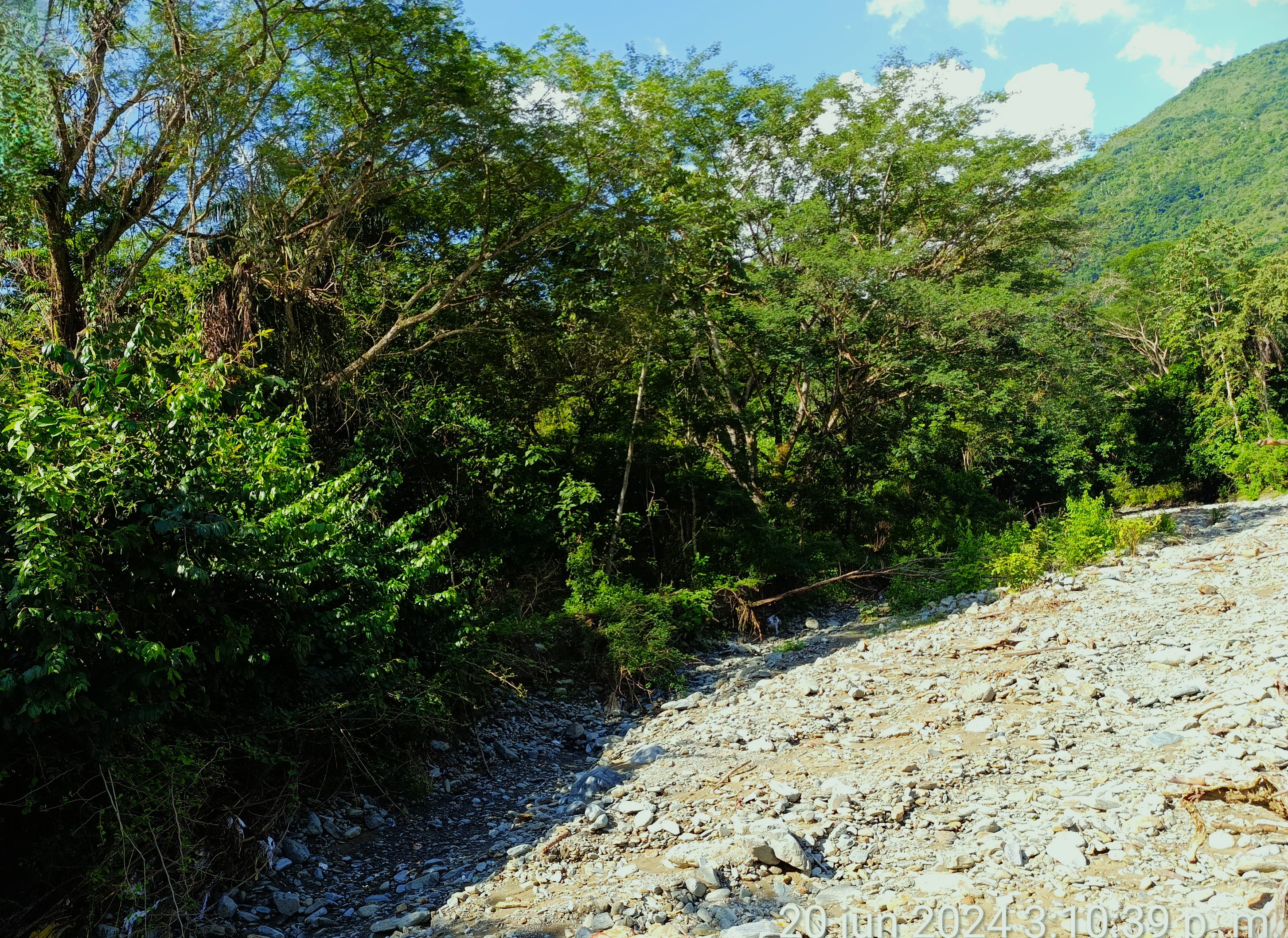 Finca en Venta, Ebejicó, Antioquia - 4