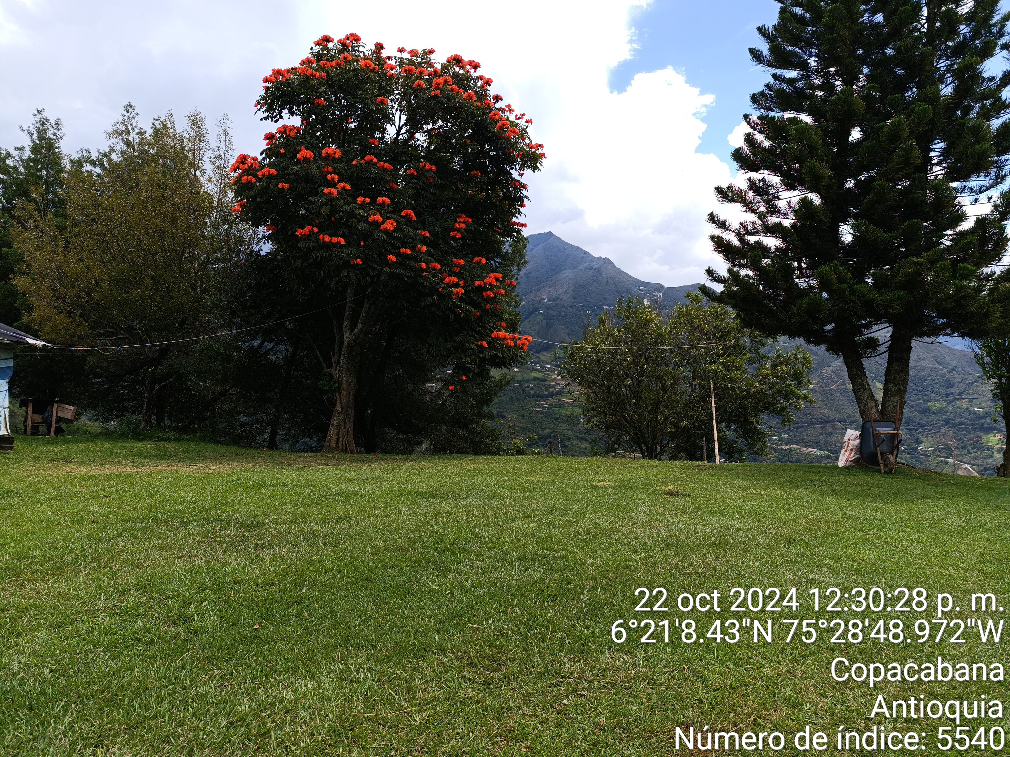 LOTE en Gestion - COPACABANA, ANTIOQUIA - 10