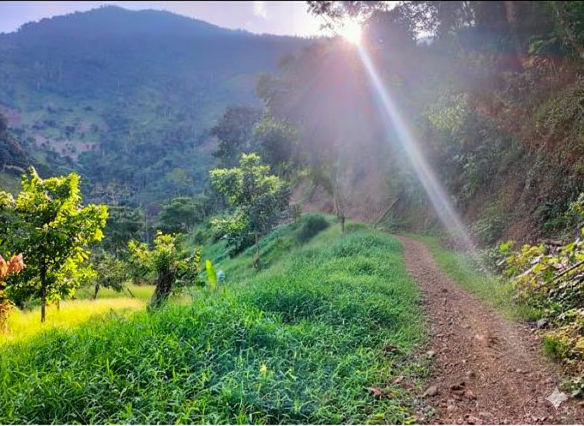 Finca en venta - Dabeiba, Antioquia - 3