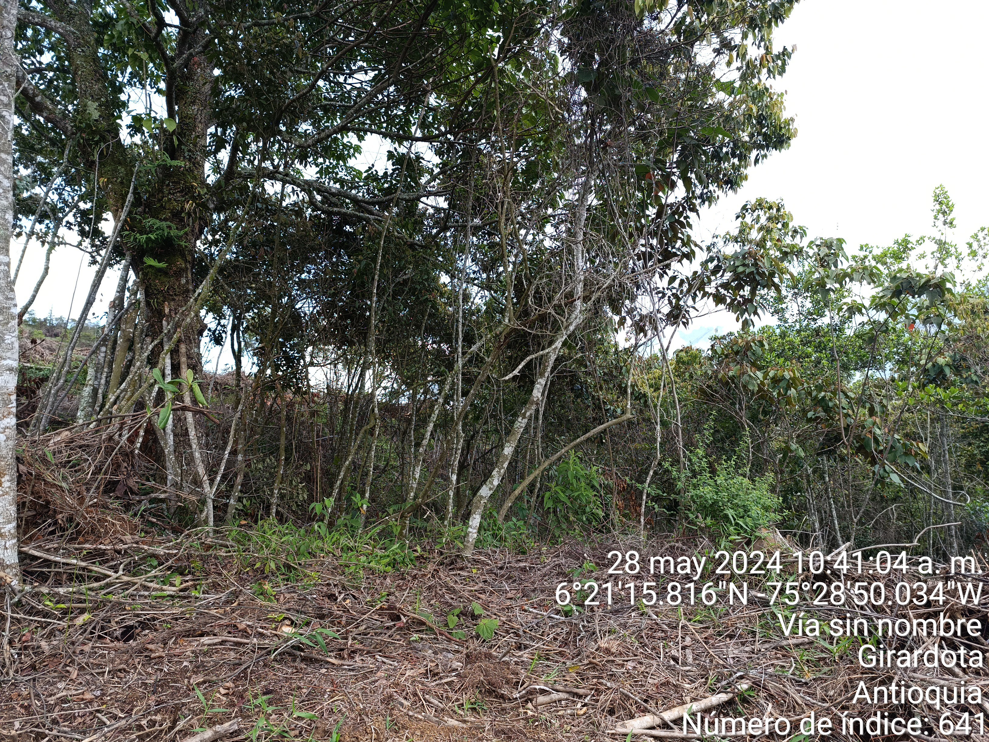 LOTE en Gestion - COPACABANA, ANTIOQUIA - 7