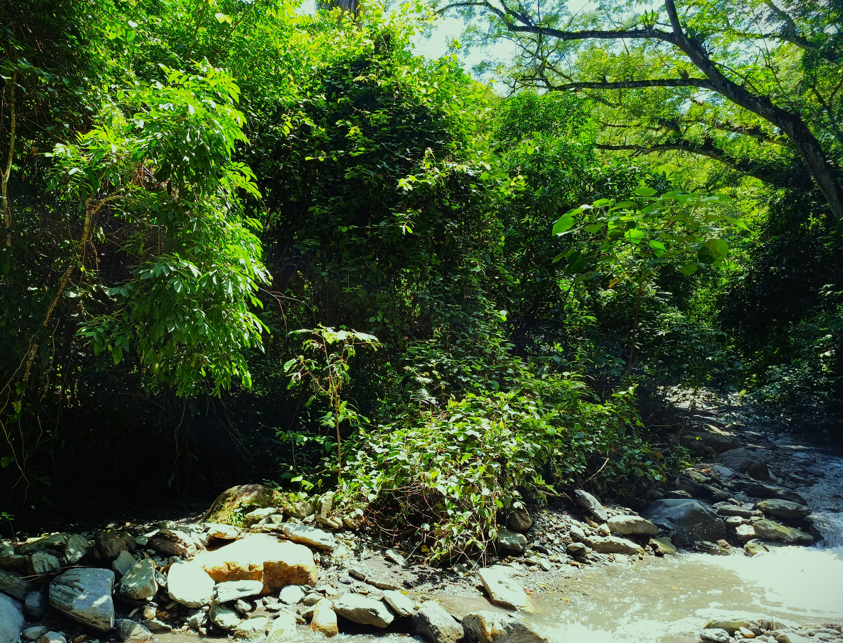 Finca en Venta, Ebejicó, Antioquia - 3