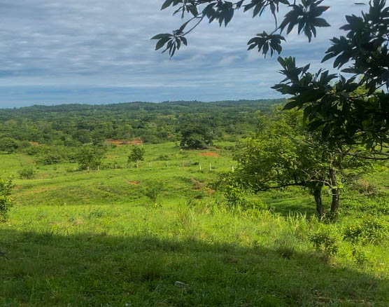 Lote en venta - Cáceres, Antioquia