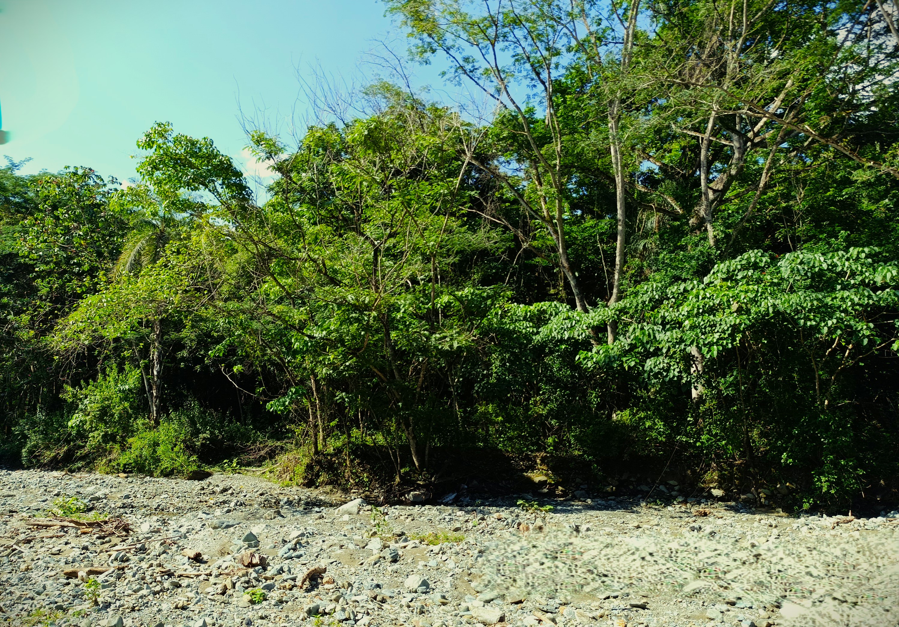 Finca en Venta, Ebejicó, Antioquia