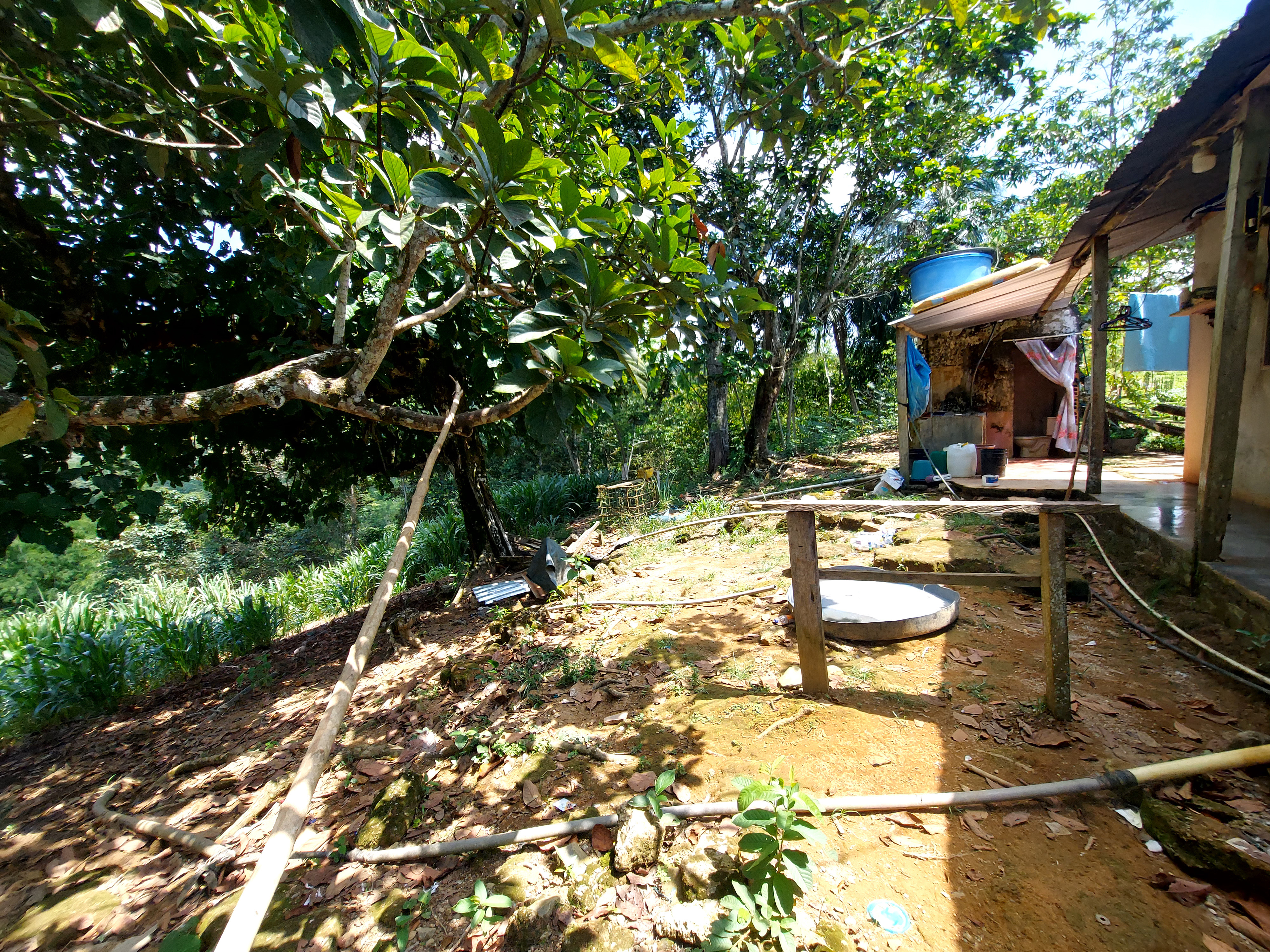 Finca en Venta - Sonsón, Antioquia - 8