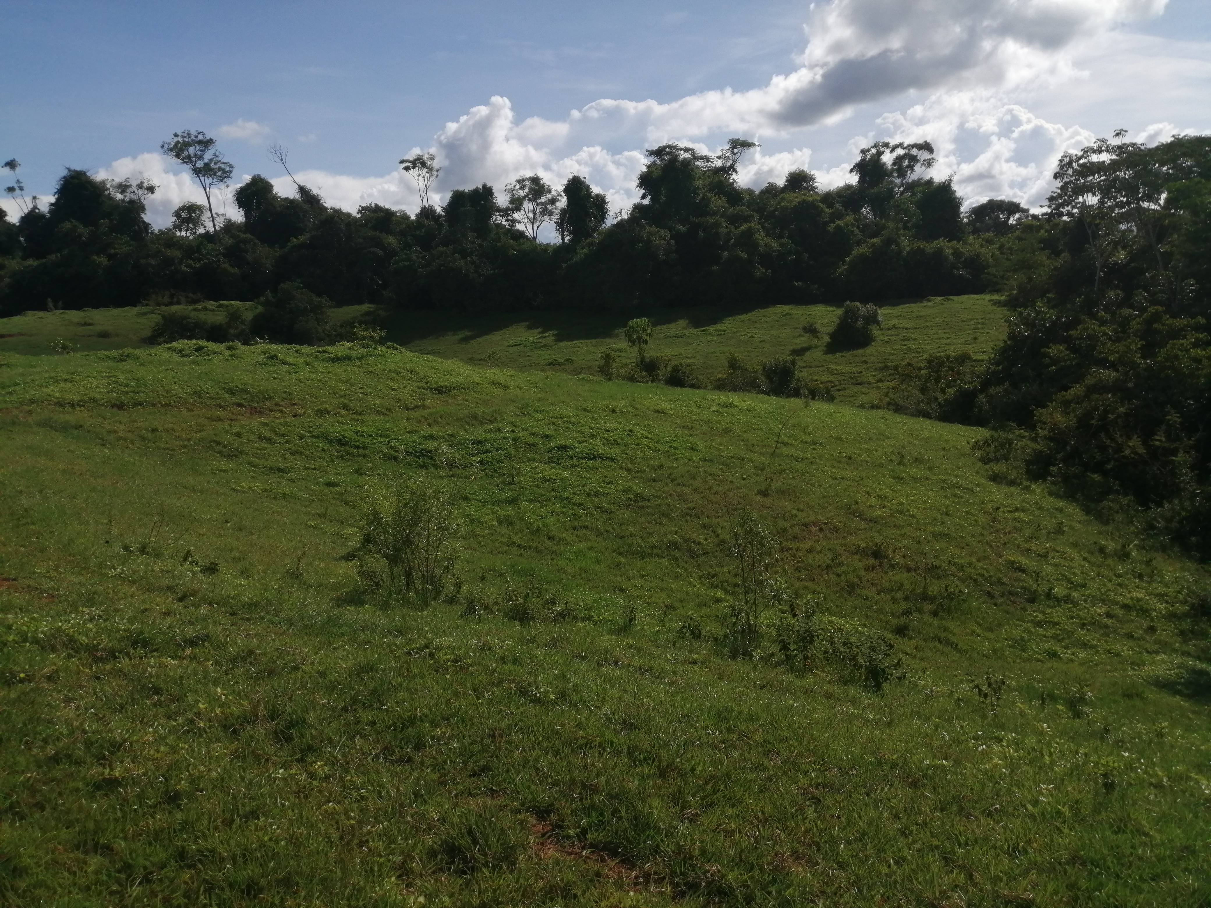 Finca en Venta - Taraza, Antioquia - 4