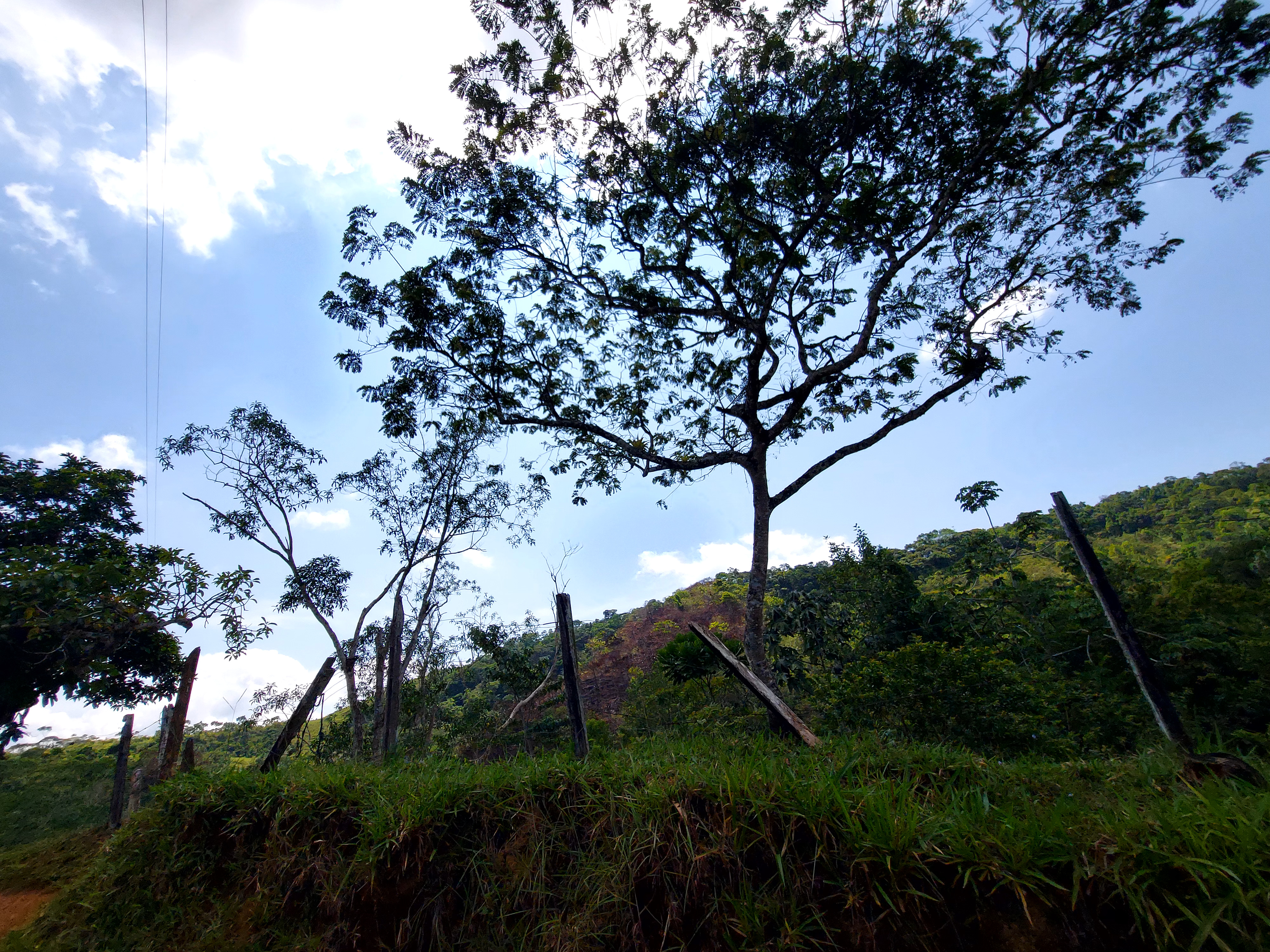 Finca en Venta - Sonsón, Antioquia - 3