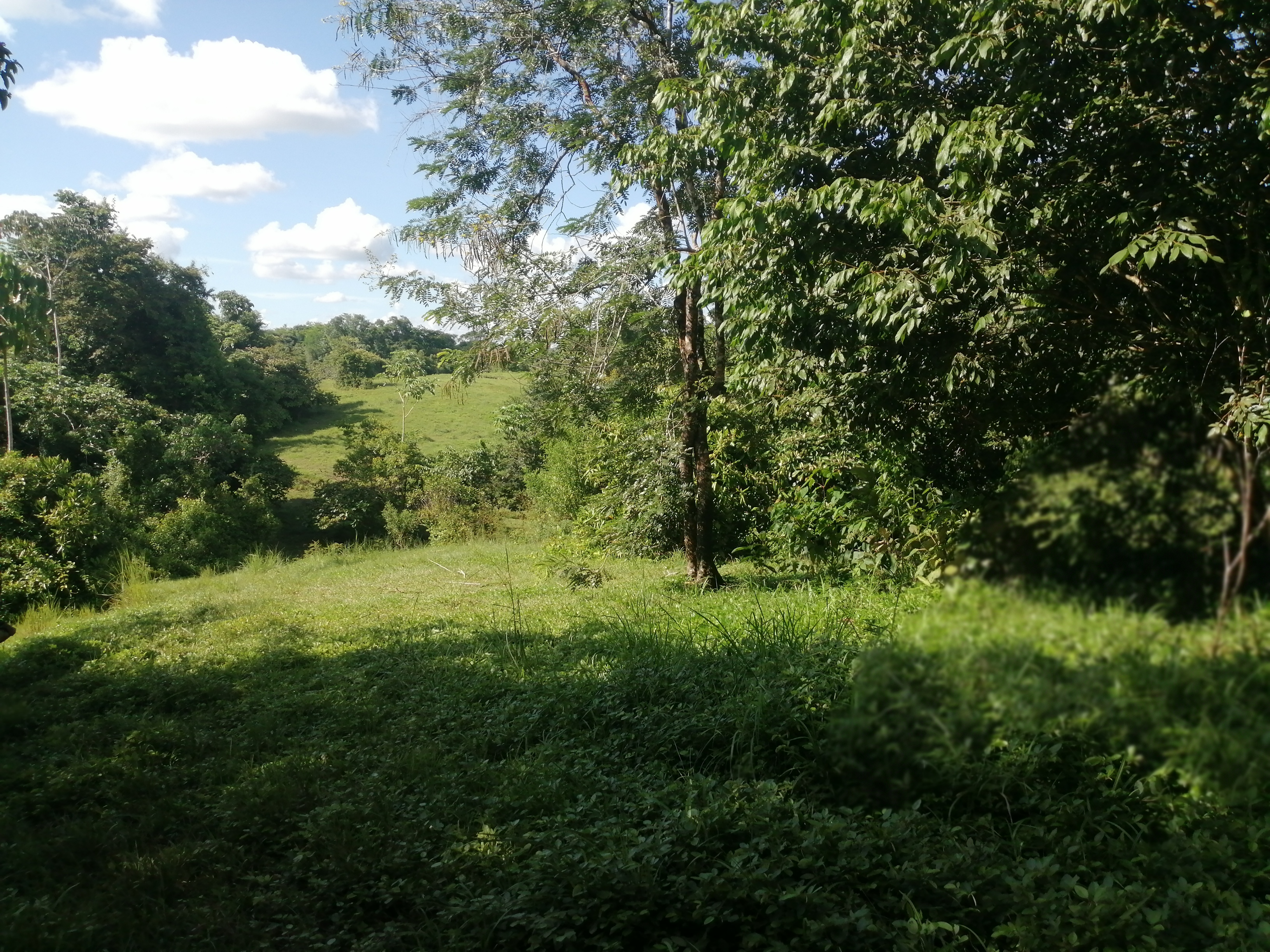 Finca en Venta - Taraza, Antioquia - 6