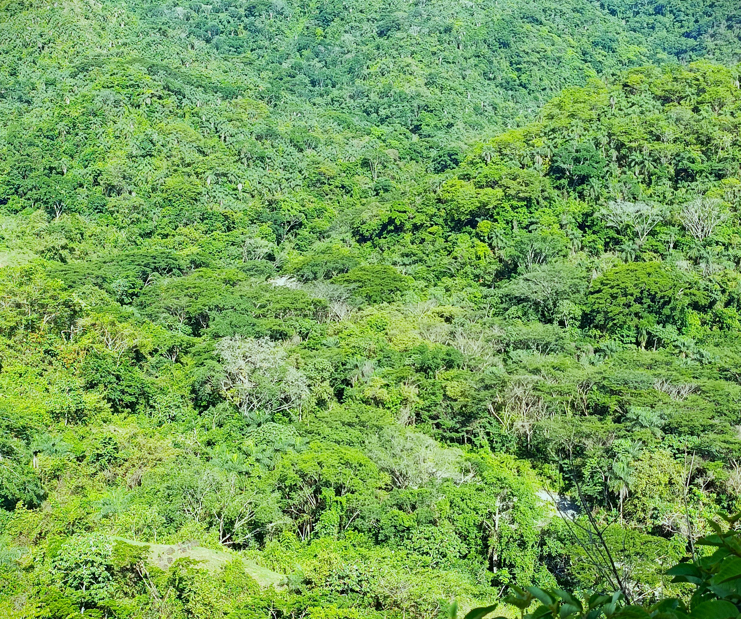Finca en Venta, Ebejicó, Antioquia - 5