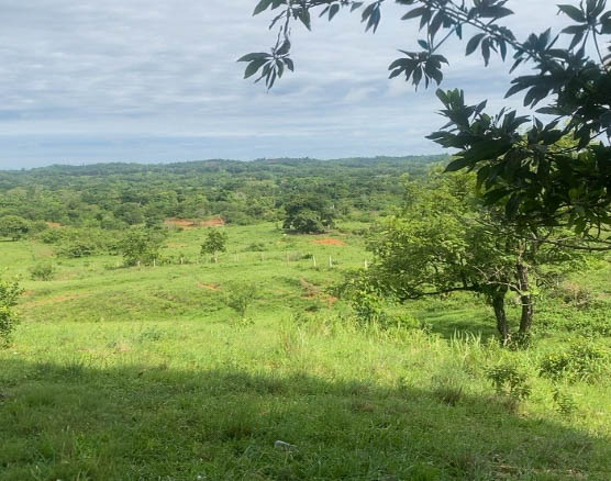 Lote en venta - Cáceres, Antioquia - 5