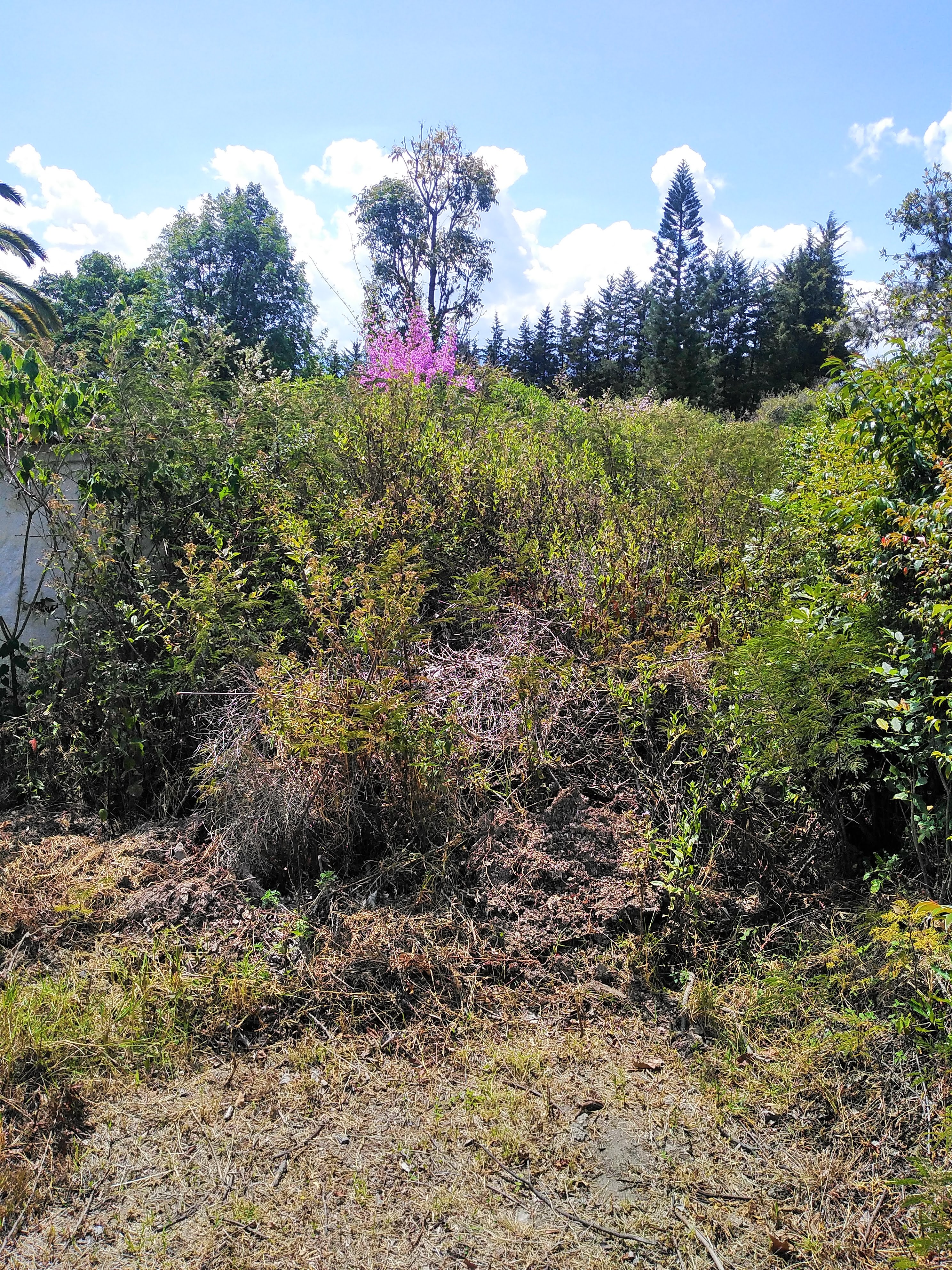 LOTE en Venta - Villa De Leyva, Boyaca