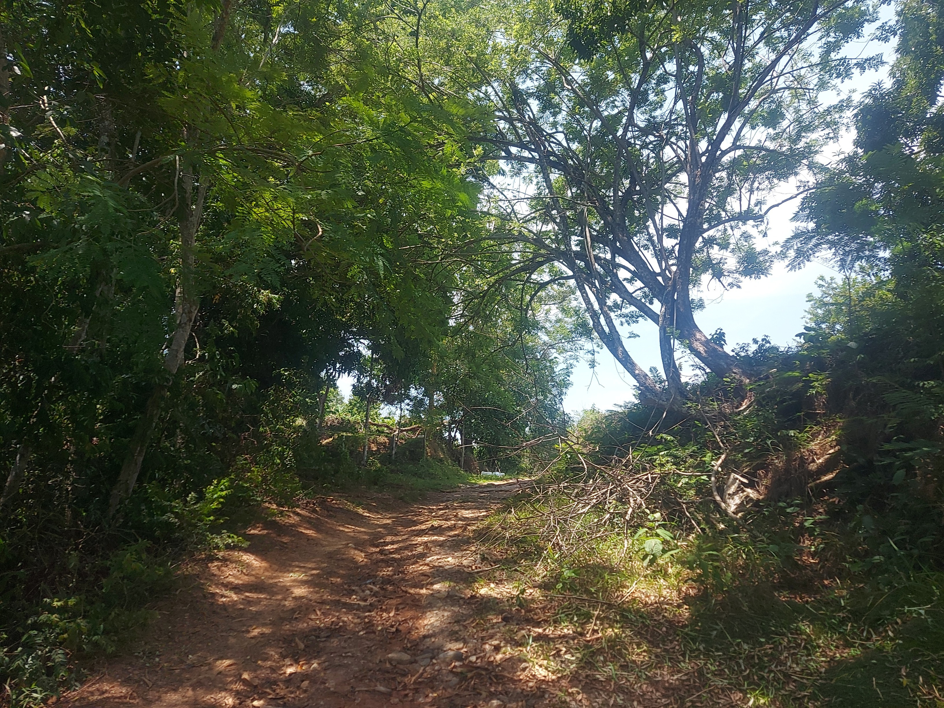 Parcela en Venta - Sonsón, Antioquia - 6
