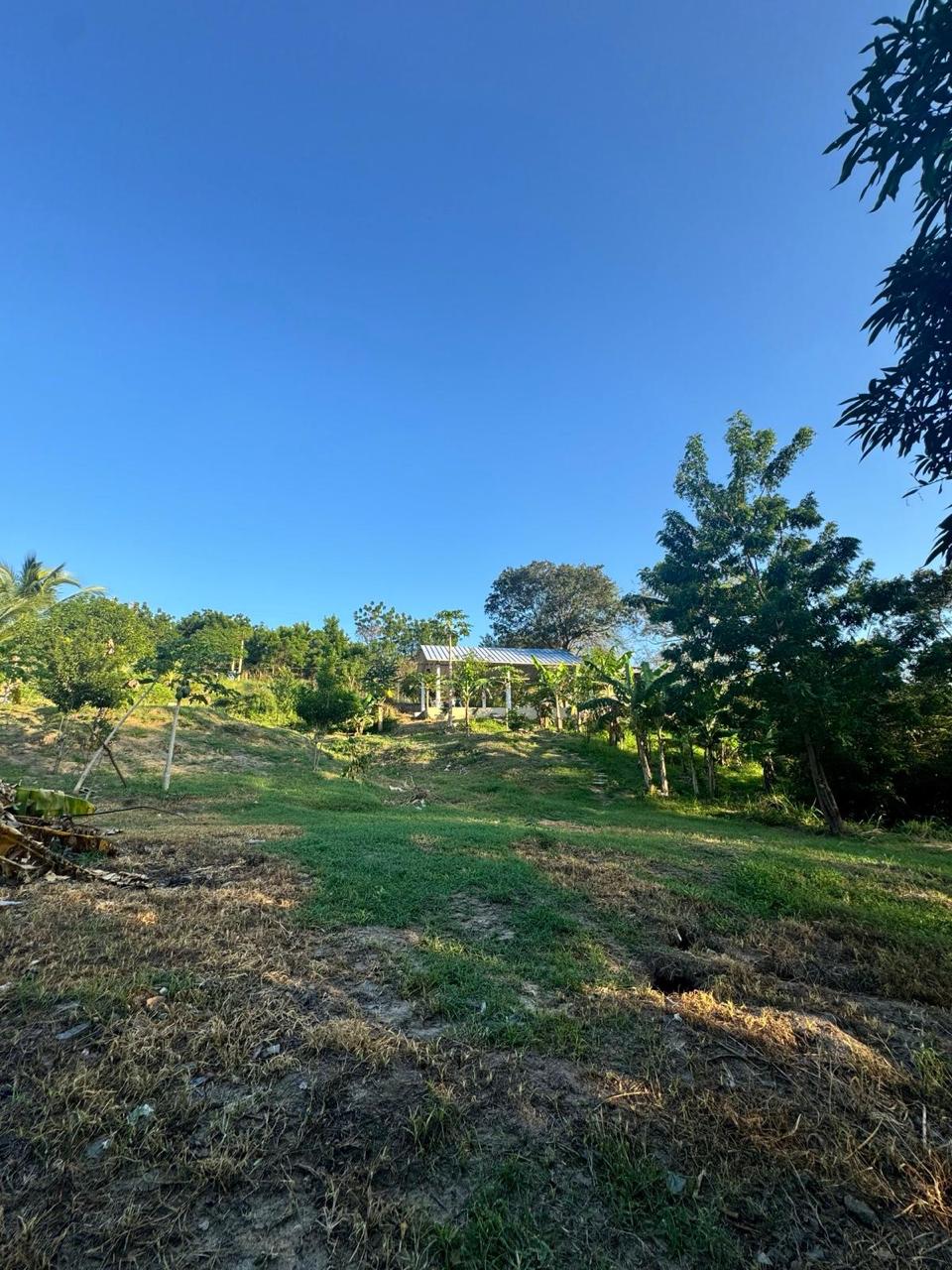 Finca en venta - Via a minca, Sector Tigrera,Magdalena - 15