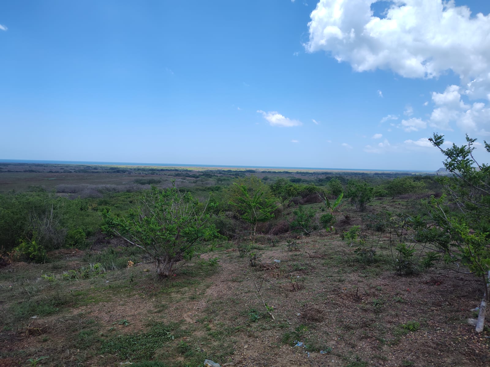Lote en venta - Santa Catalina- Bolivar - 12