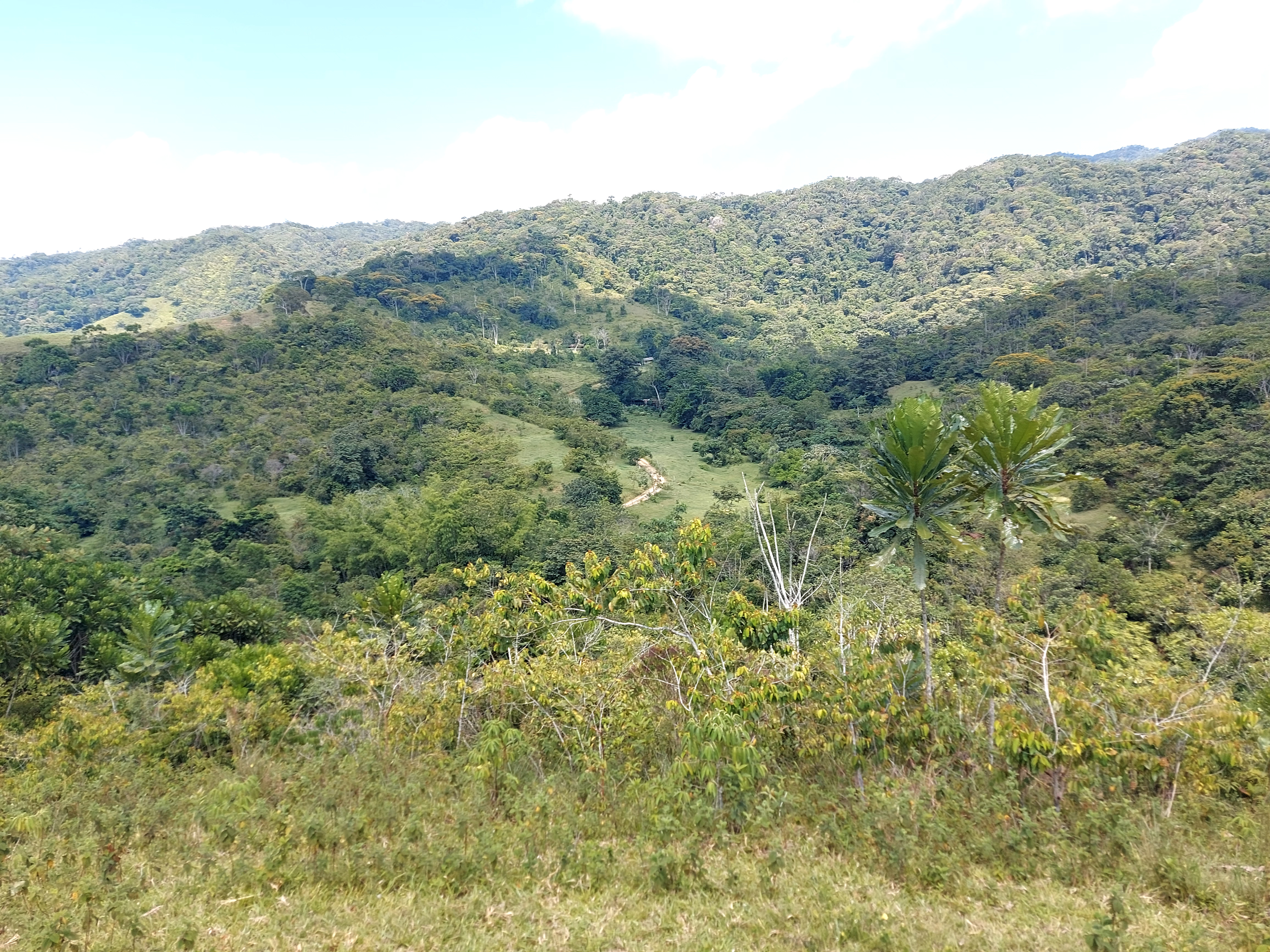 Finca en Venta - Sonsón, Antioquia - 17