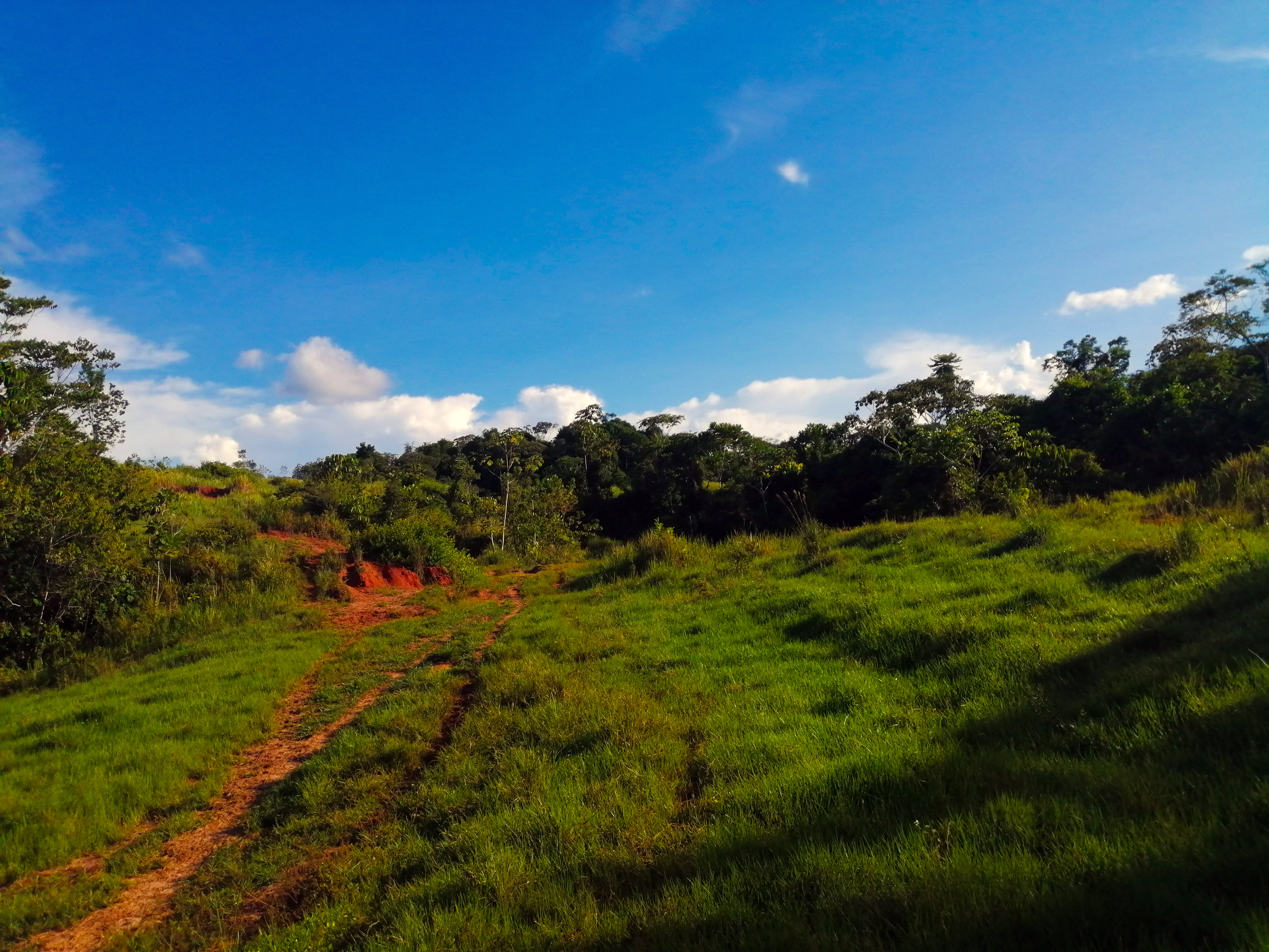 Finca en Venta - Taraza, Antioquia - 8