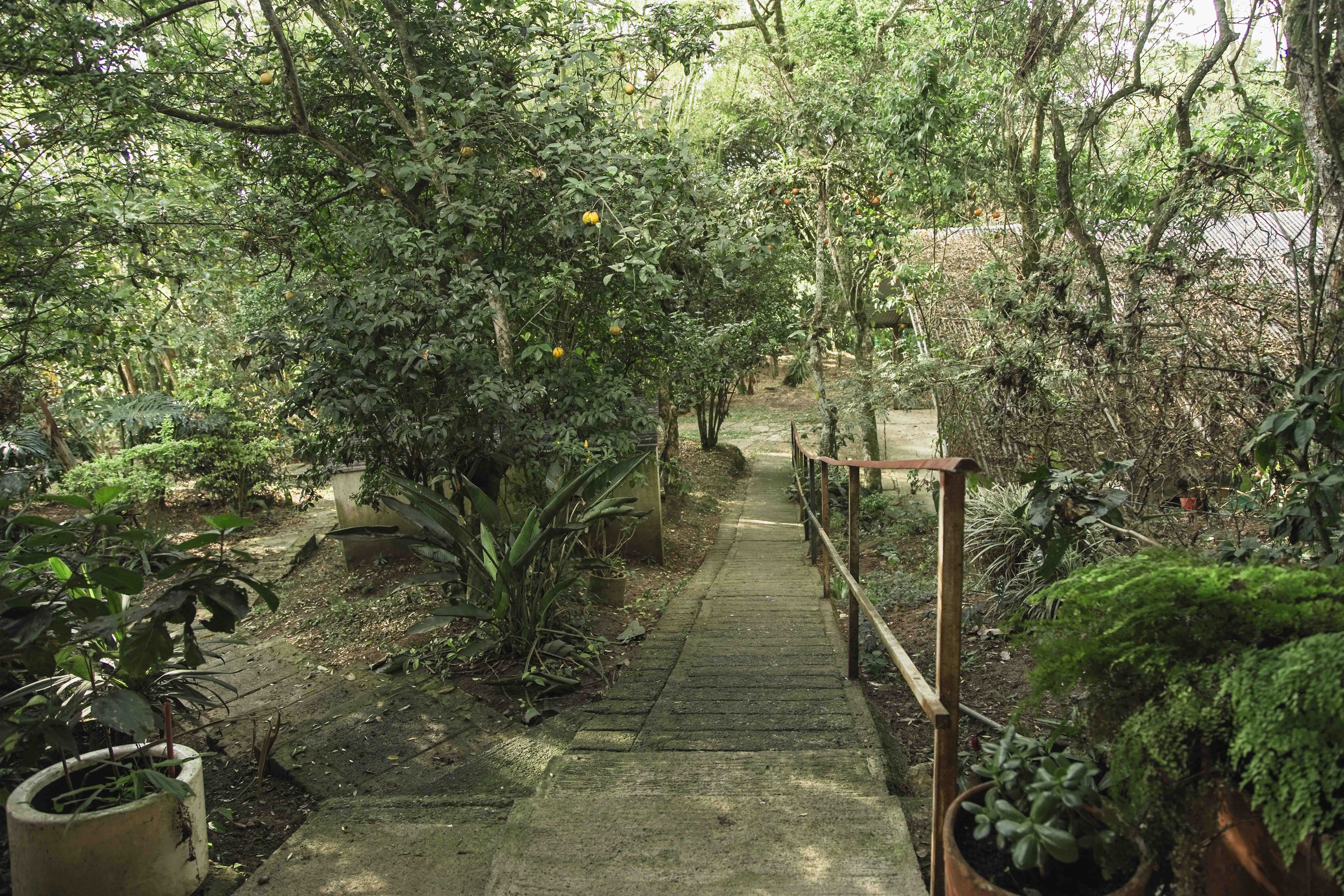 Finca en venta - Fusagasuga, Cundinamarca - 1