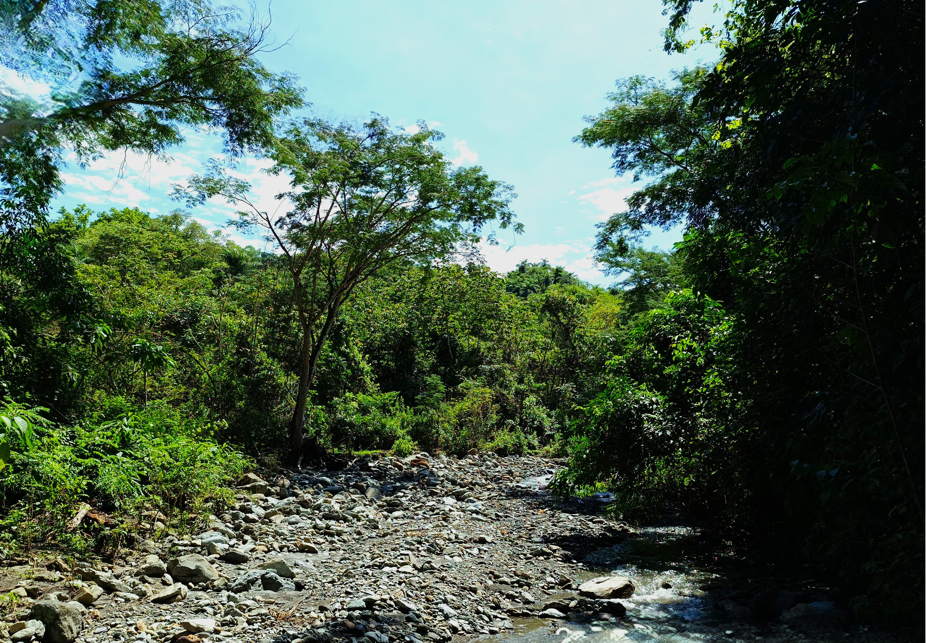 Finca en Venta, Ebejicó, Antioquia - 1