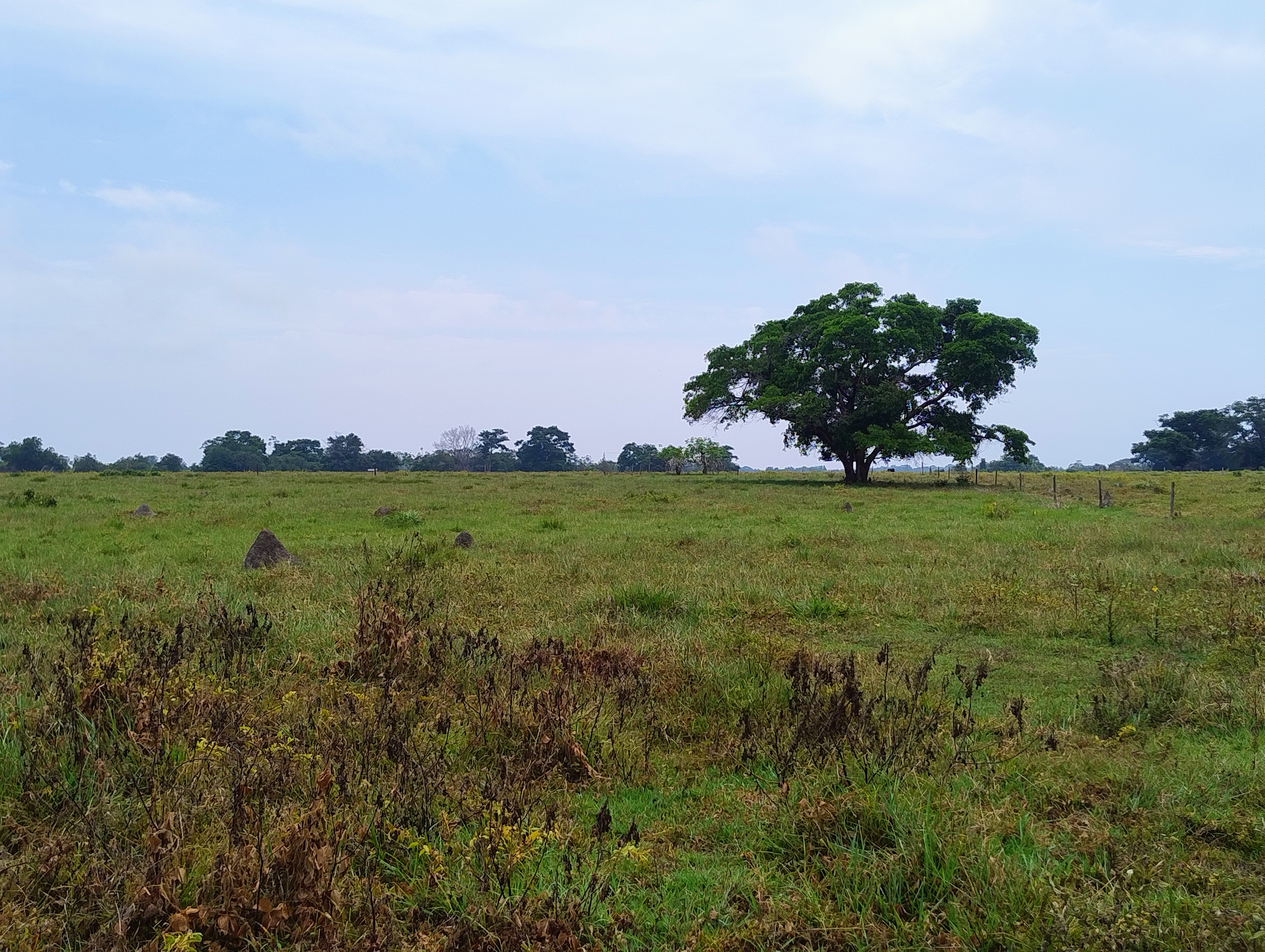 Lote en Venta - Córdoba, Buenavista - 6