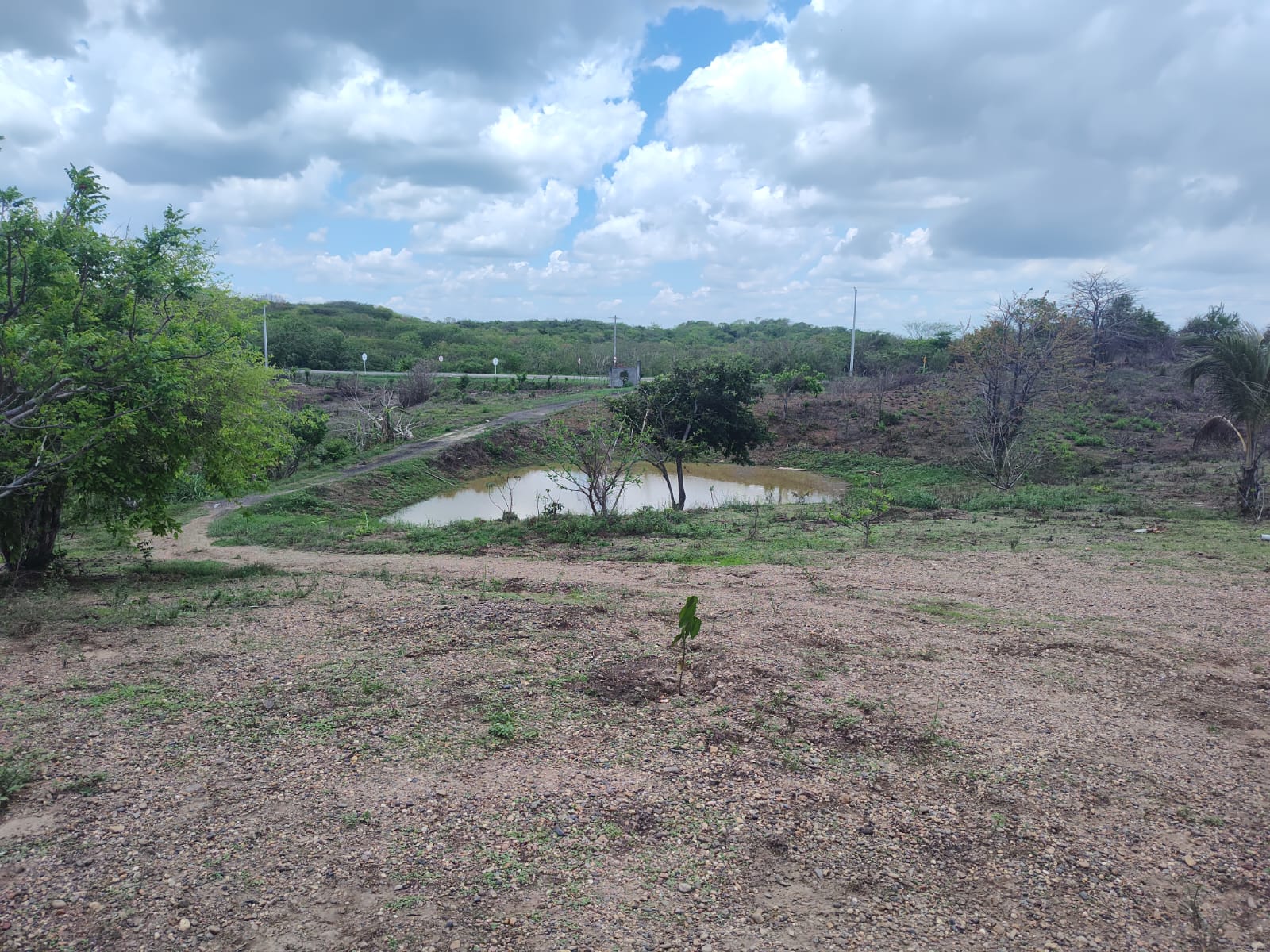 Lote en venta - Santa Catalina- Bolivar - 14