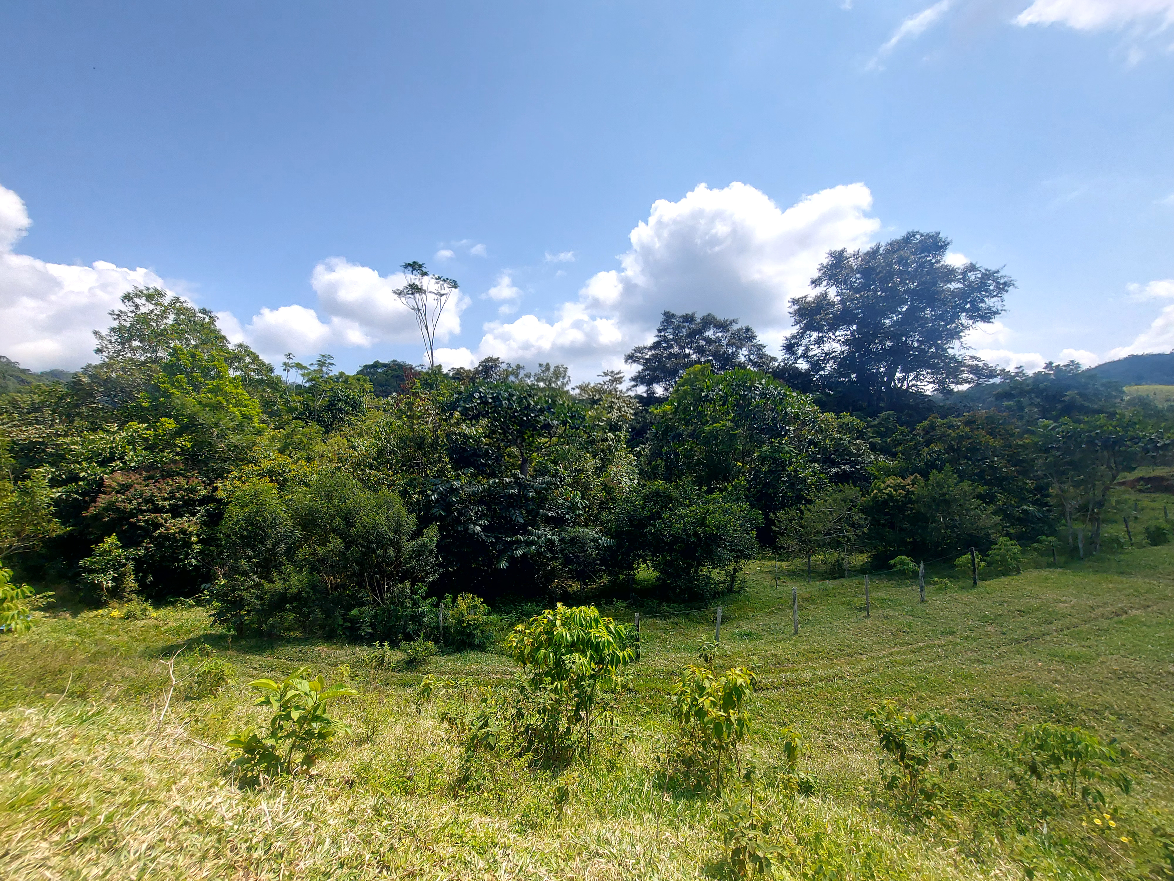 Finca en Venta - Sonsón, Antioquia