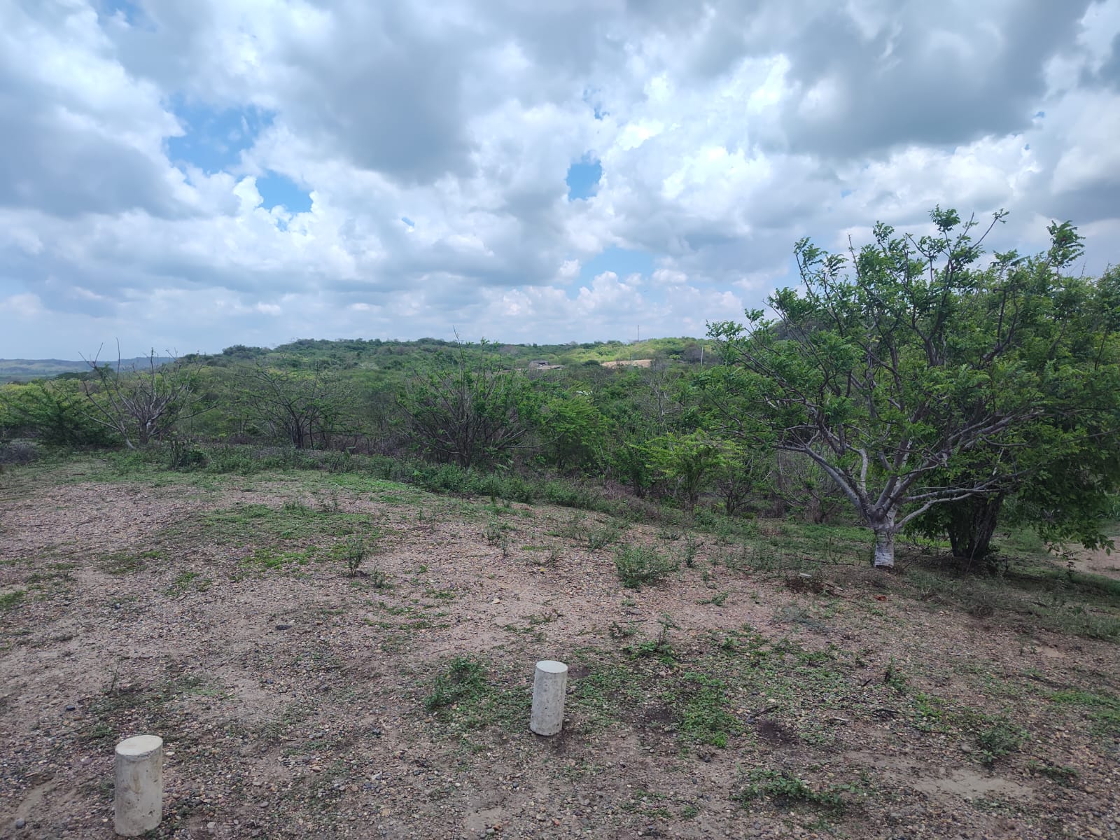 Lote en venta - Santa Catalina- Bolivar - 15