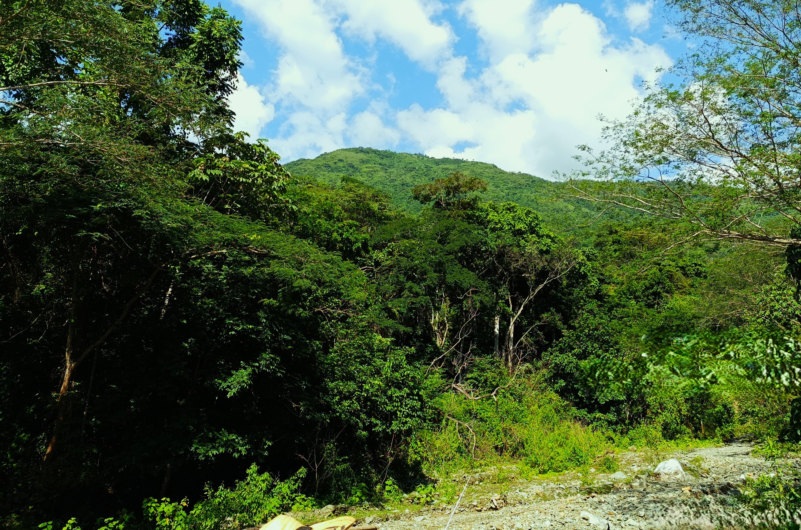 Finca en Venta, Ebejicó, Antioquia - 6
