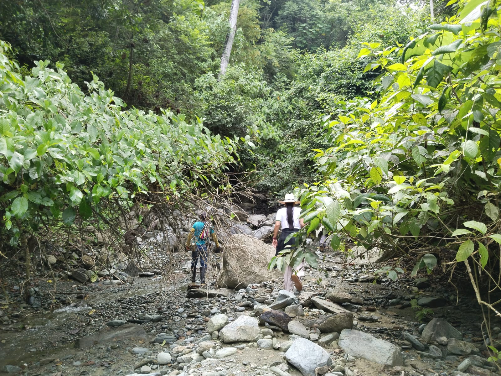 Finca - Ebéjico, Antioquia - 8