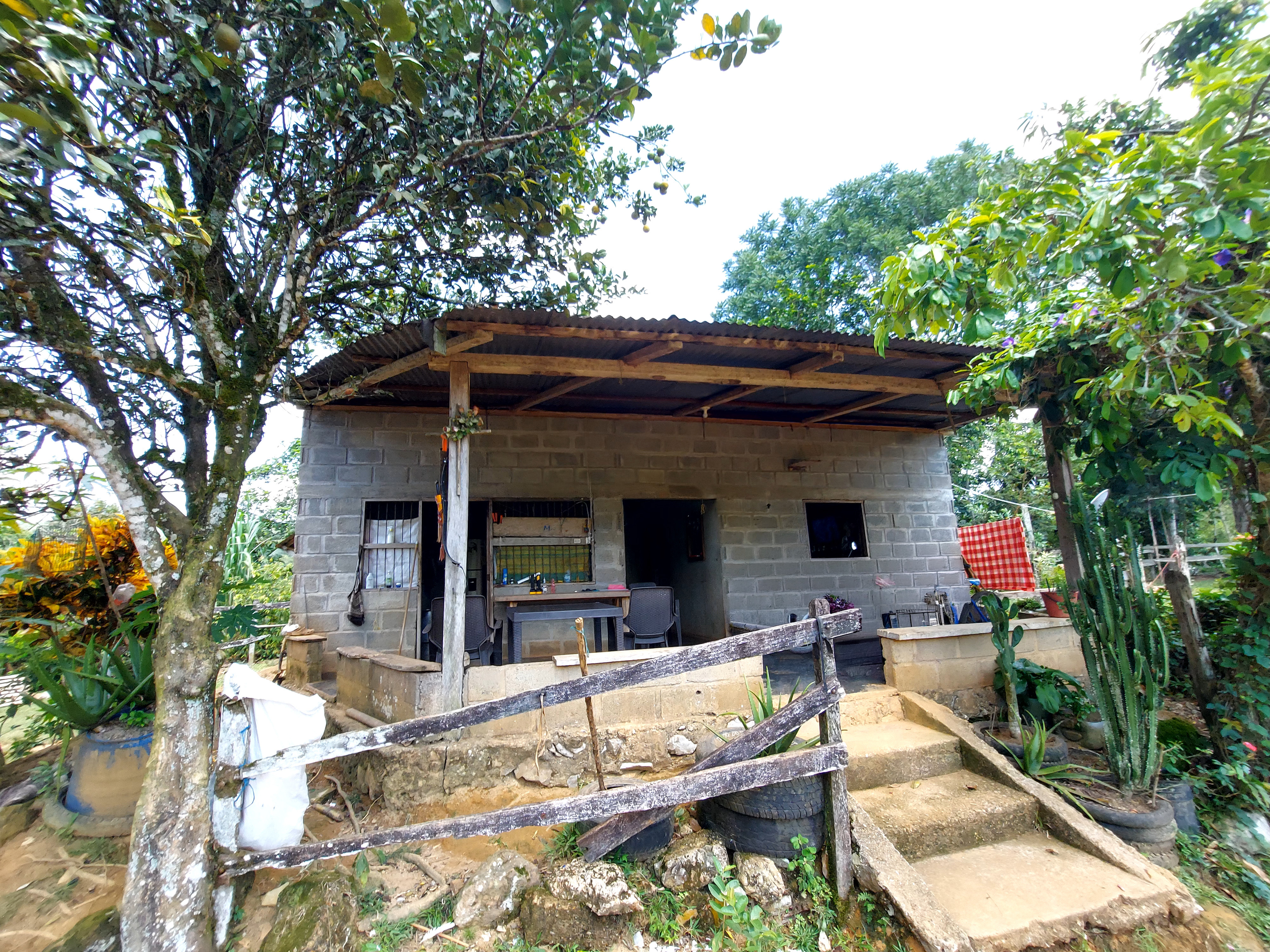 Finca en Venta - Sonsón, Antioquia - 5