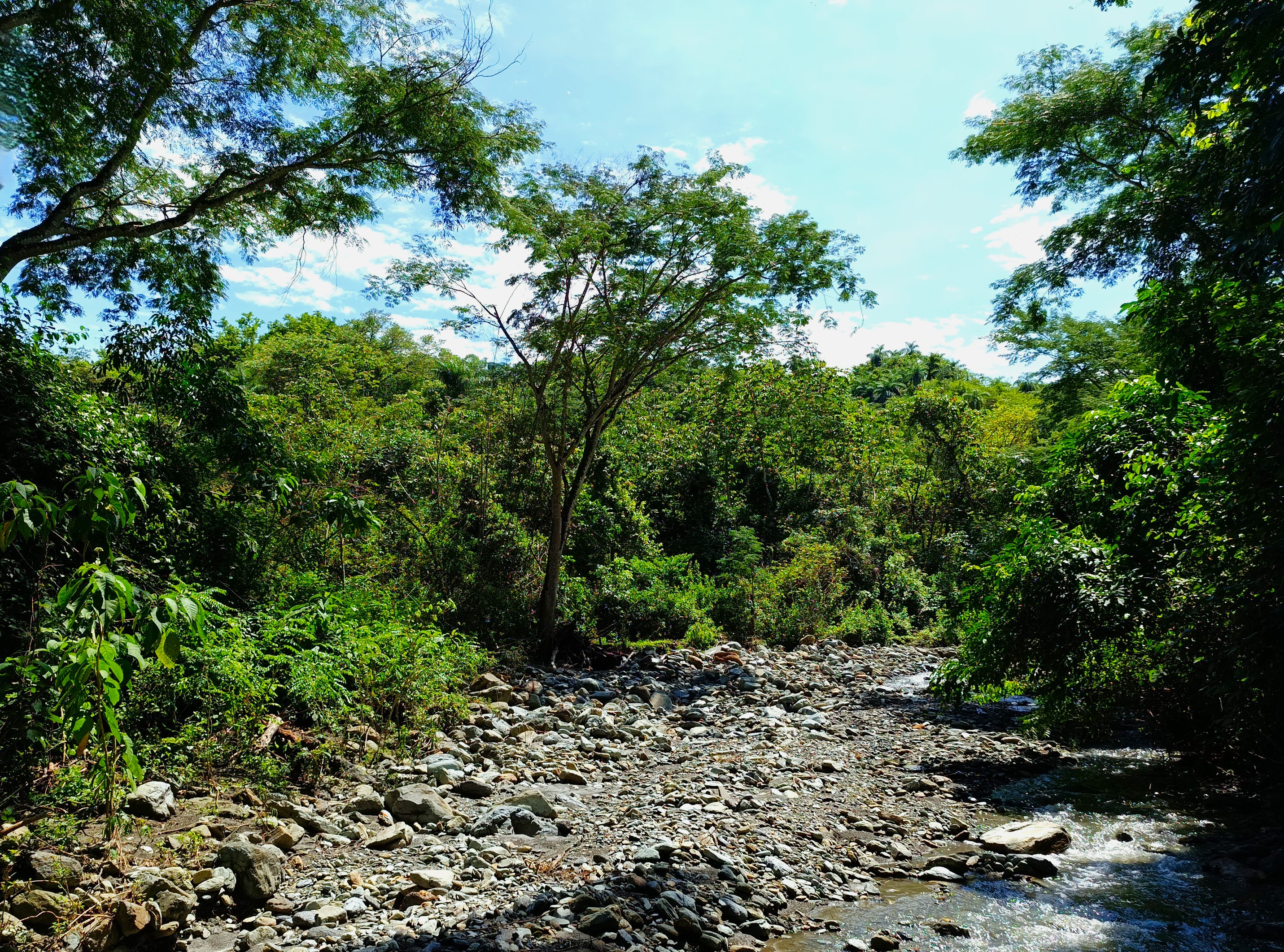 Finca en Venta, Ebejicó, Antioquia