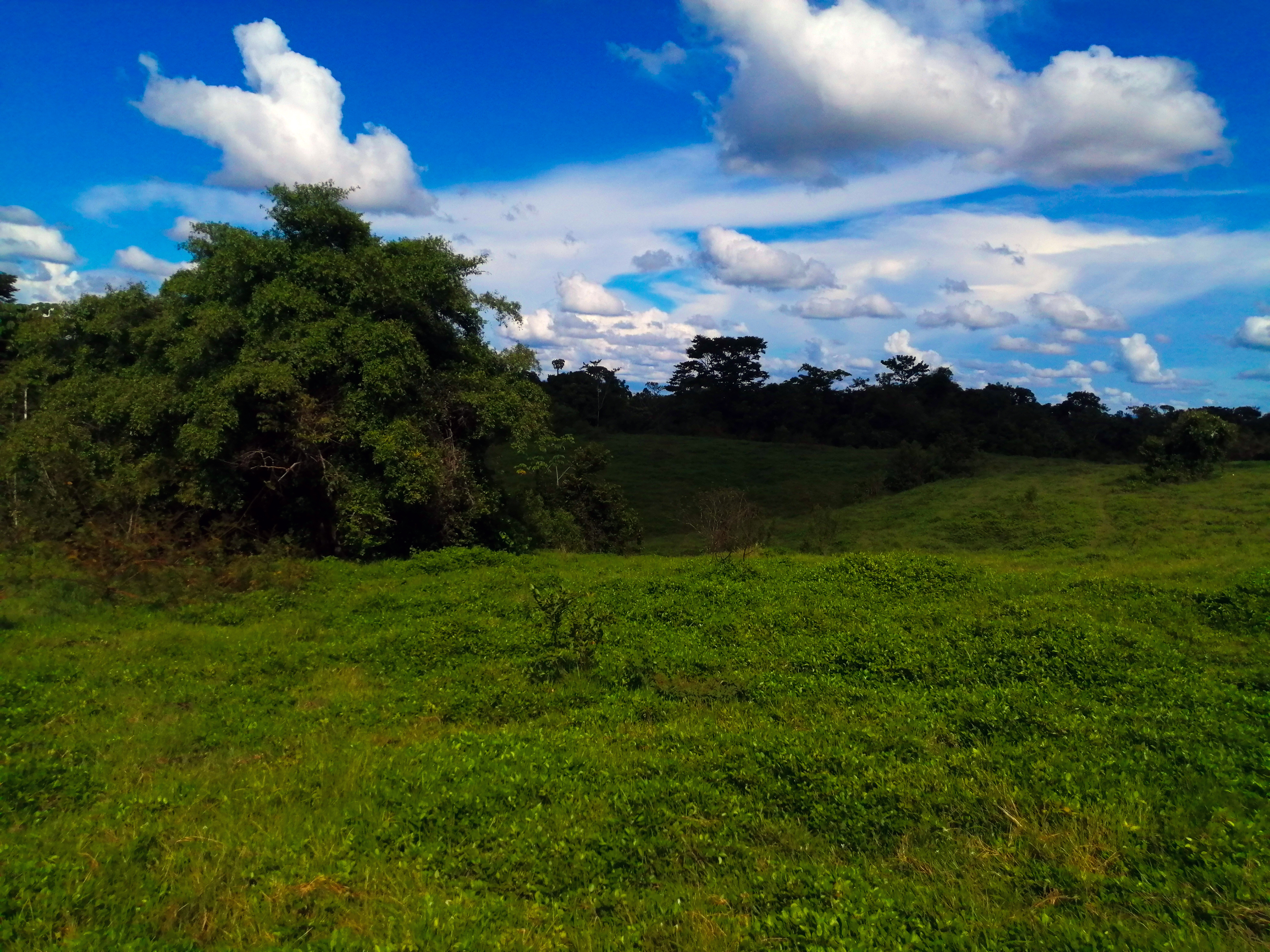 Finca en Venta - Taraza, Antioquia - 5