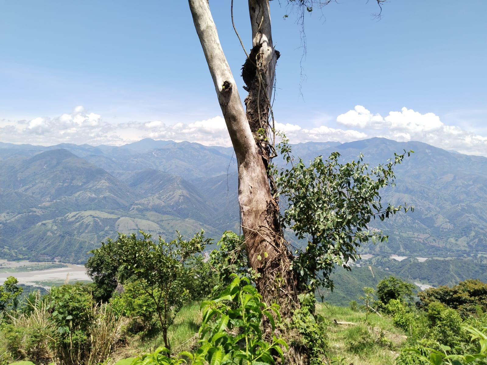 Finca - Ebéjico, Antioquia - 4