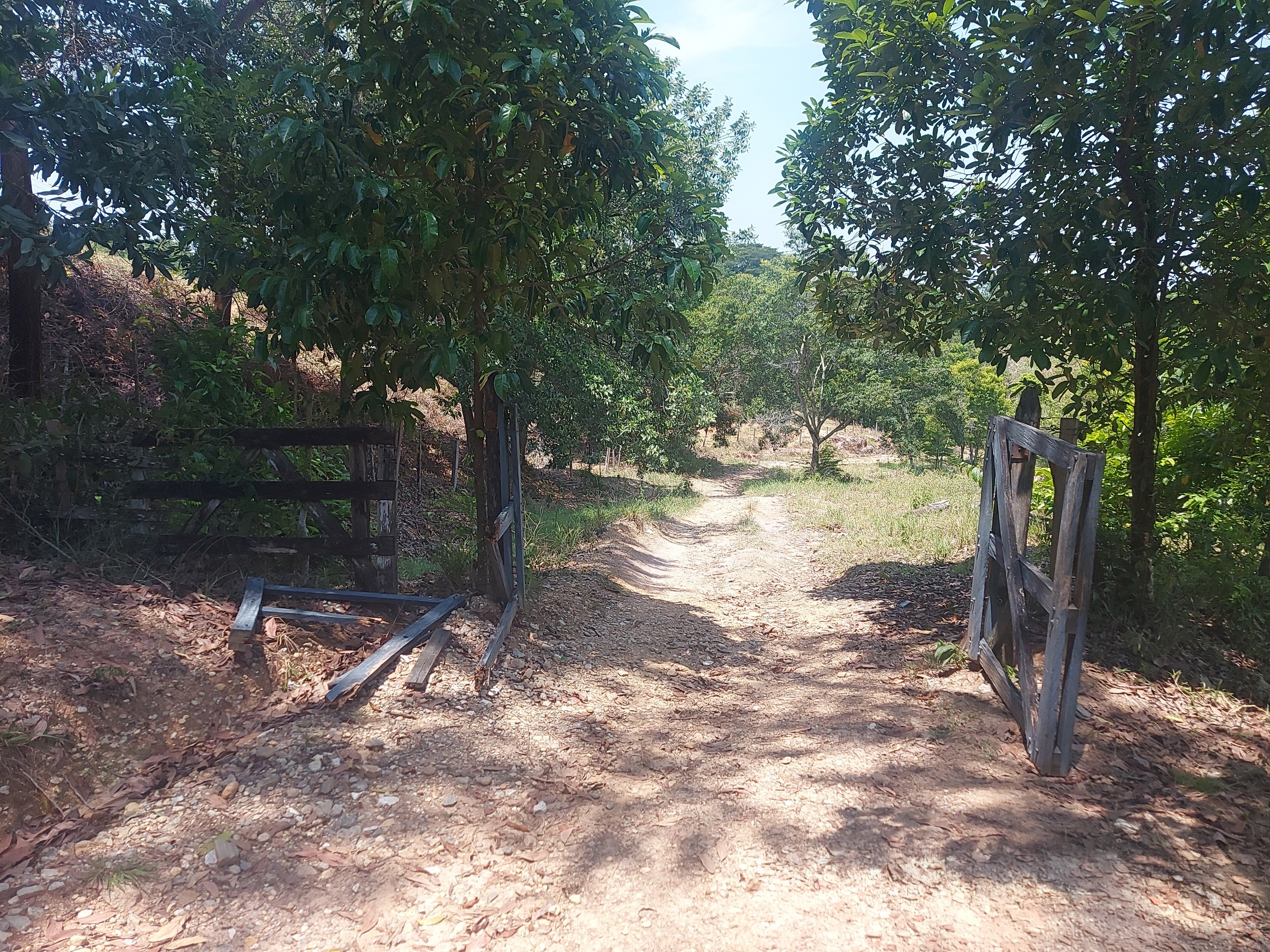 Parcela en Venta - Sonsón, Antioquia - 5