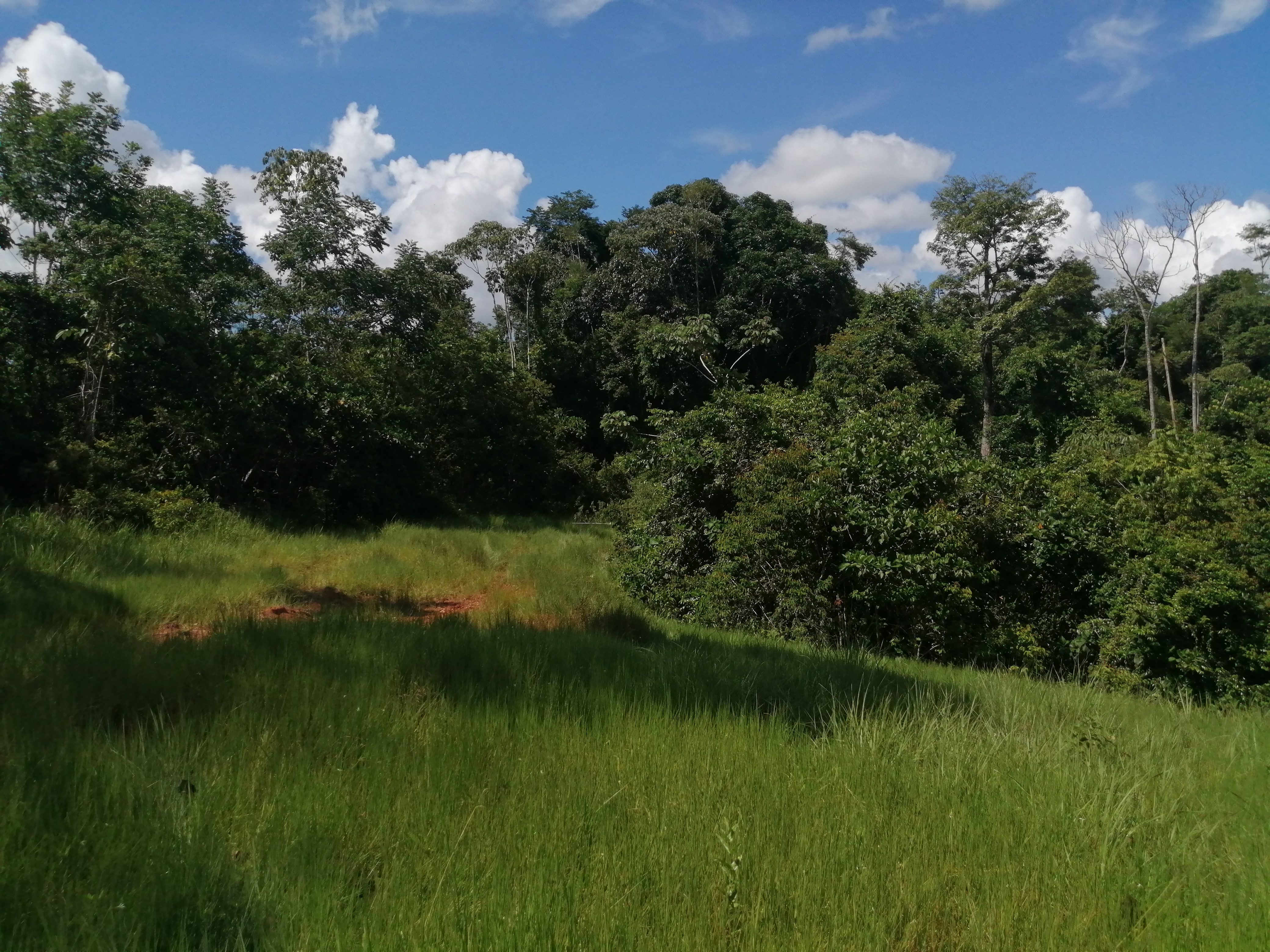 Finca en Venta - Taraza, Antioquia - 3
