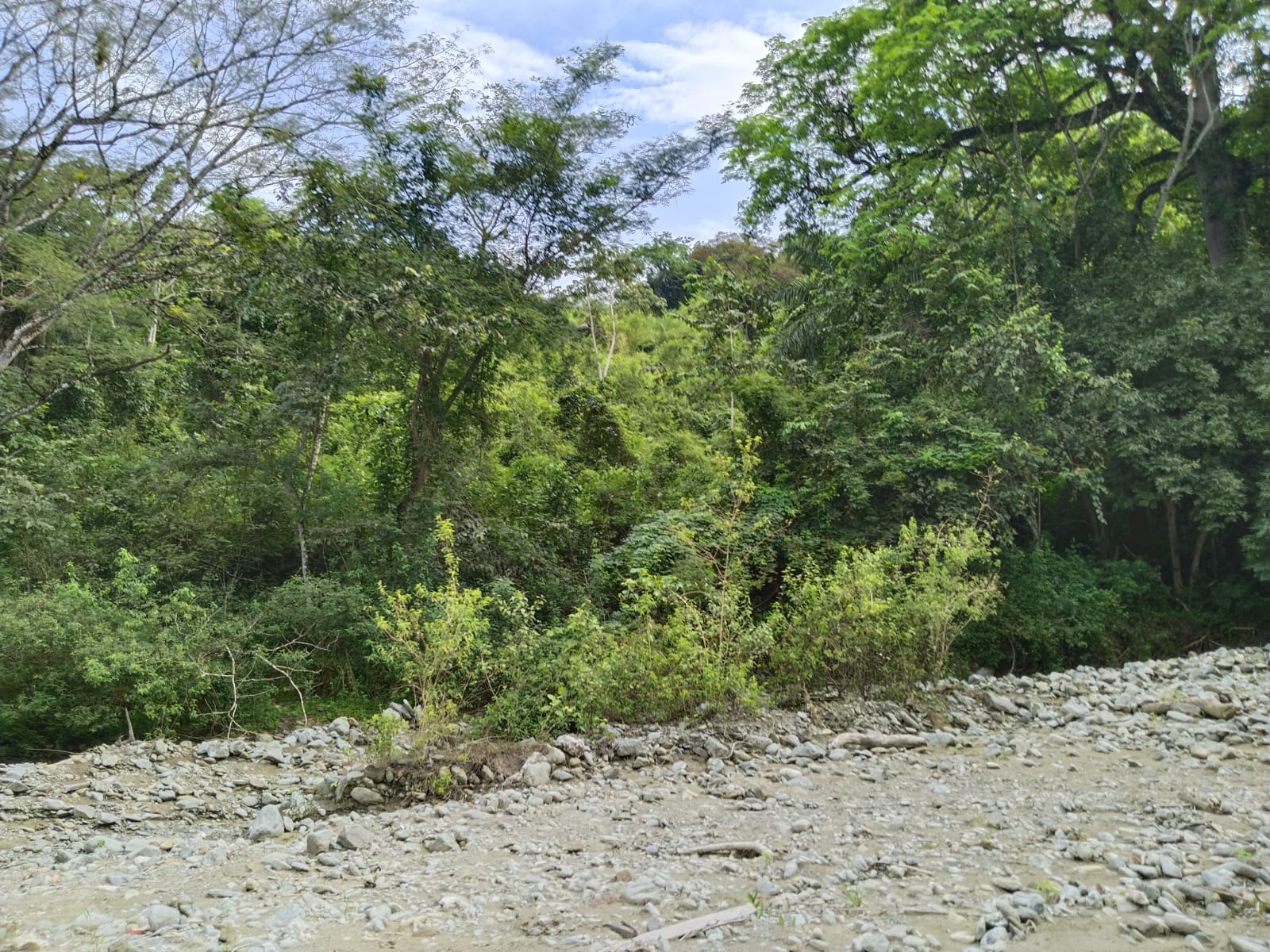 Finca - Ebéjico, Antioquia - 5