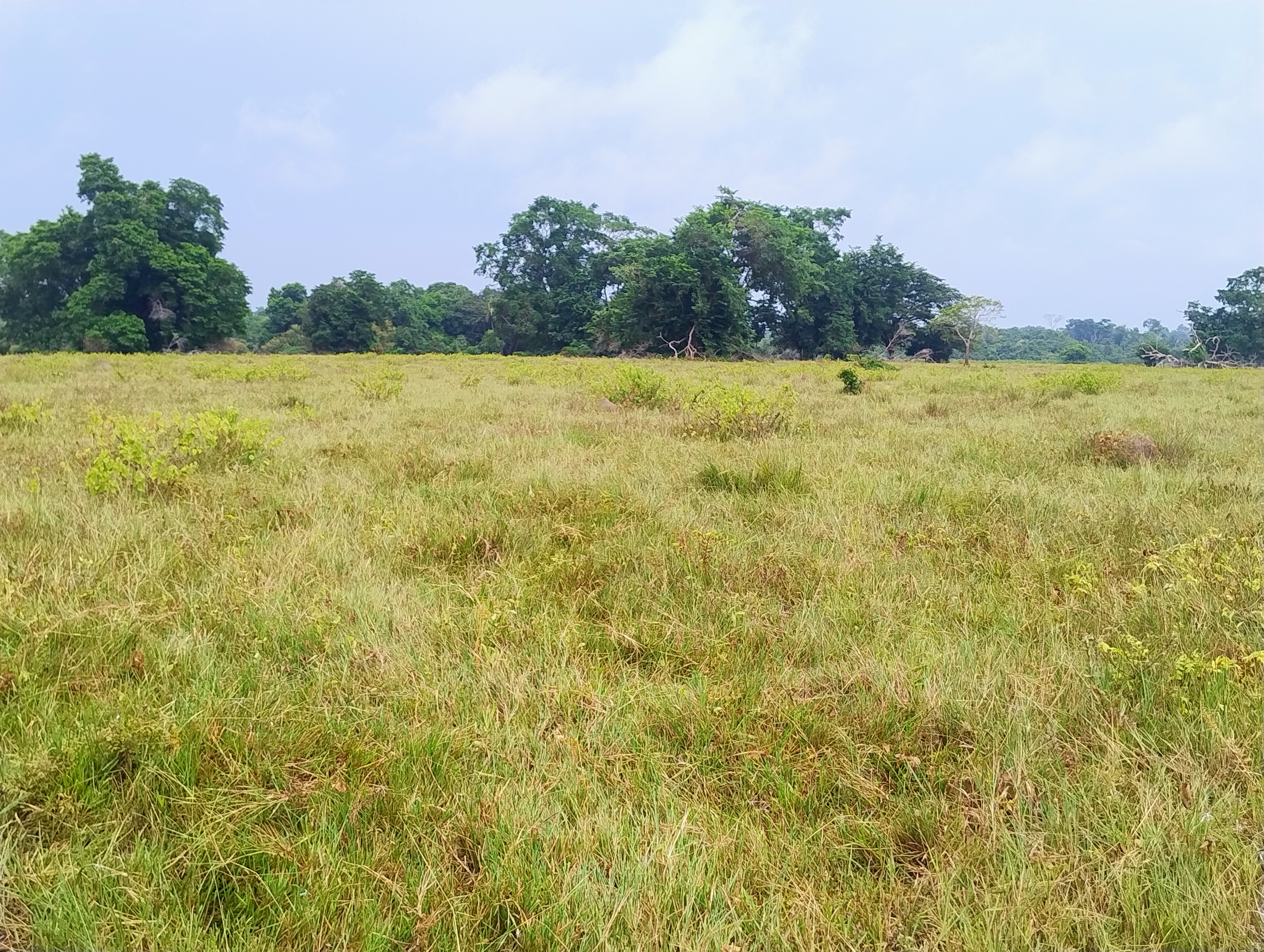 Lote en Venta - Córdoba, Buenavista - 2