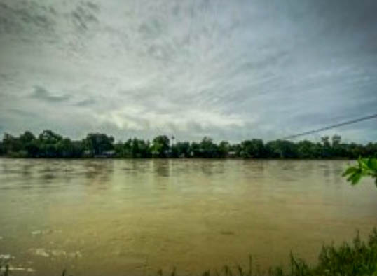Lote en venta - Cáceres, Antioquia - 3