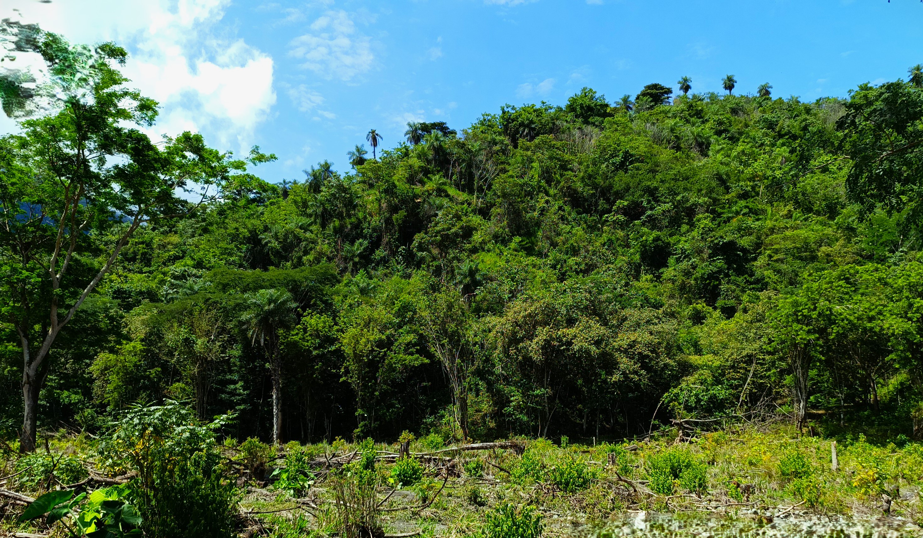 Finca en Venta, Ebejicó, Antioquia - 6