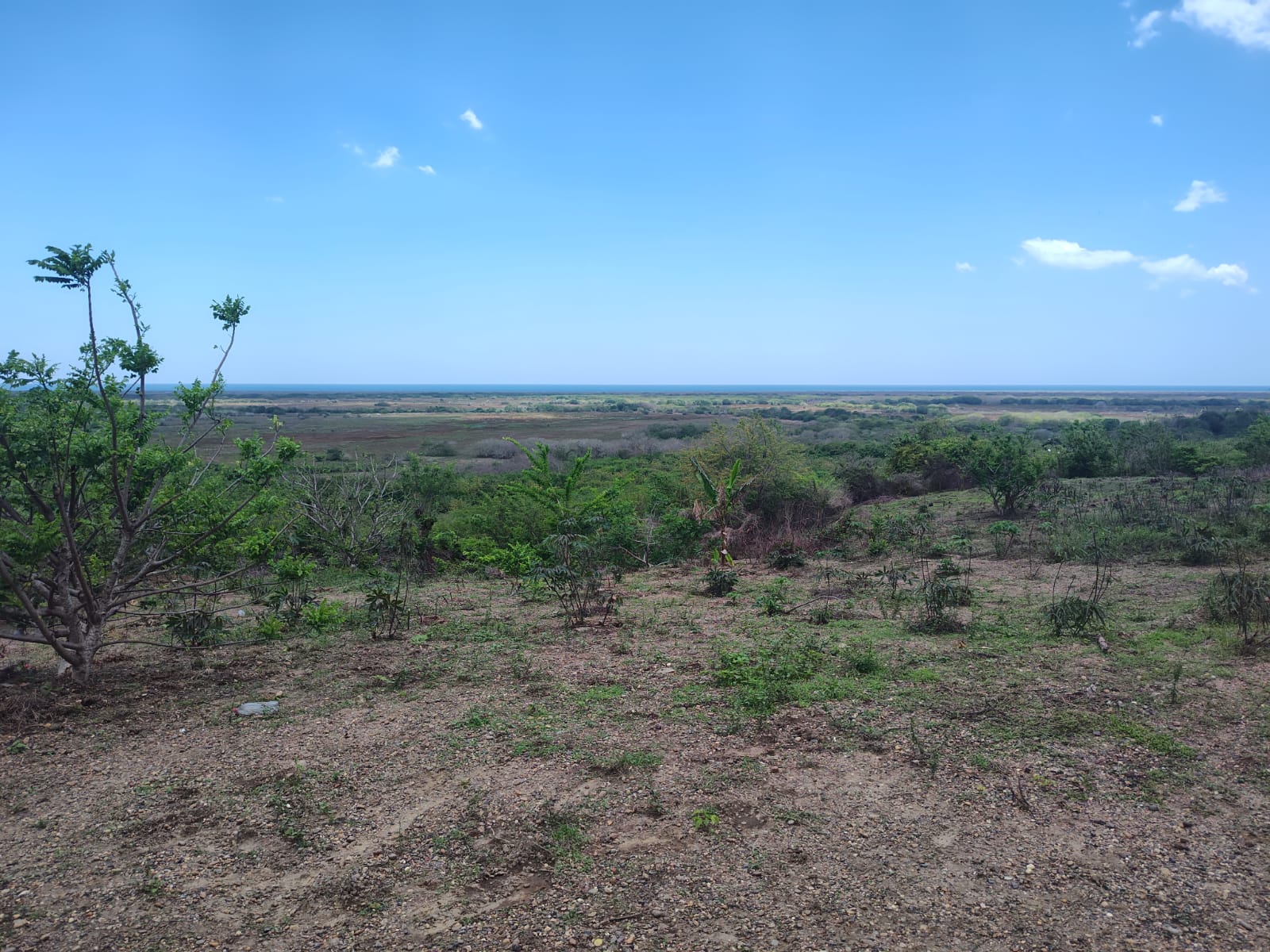 Lote en venta - Santa Catalina- Bolivar - 13