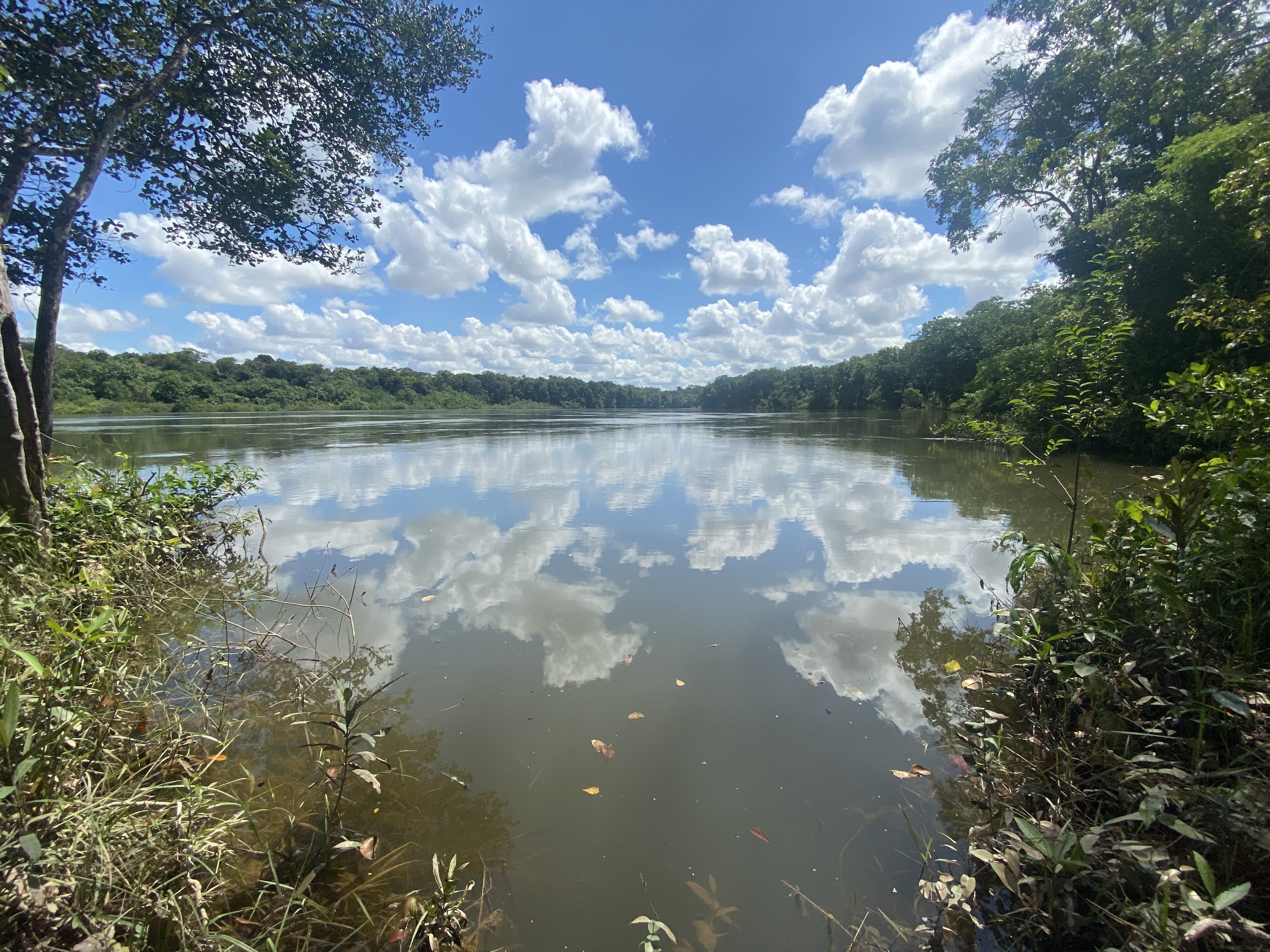 FINCA en Gestion - CUMARIBO, VICHADA - 2