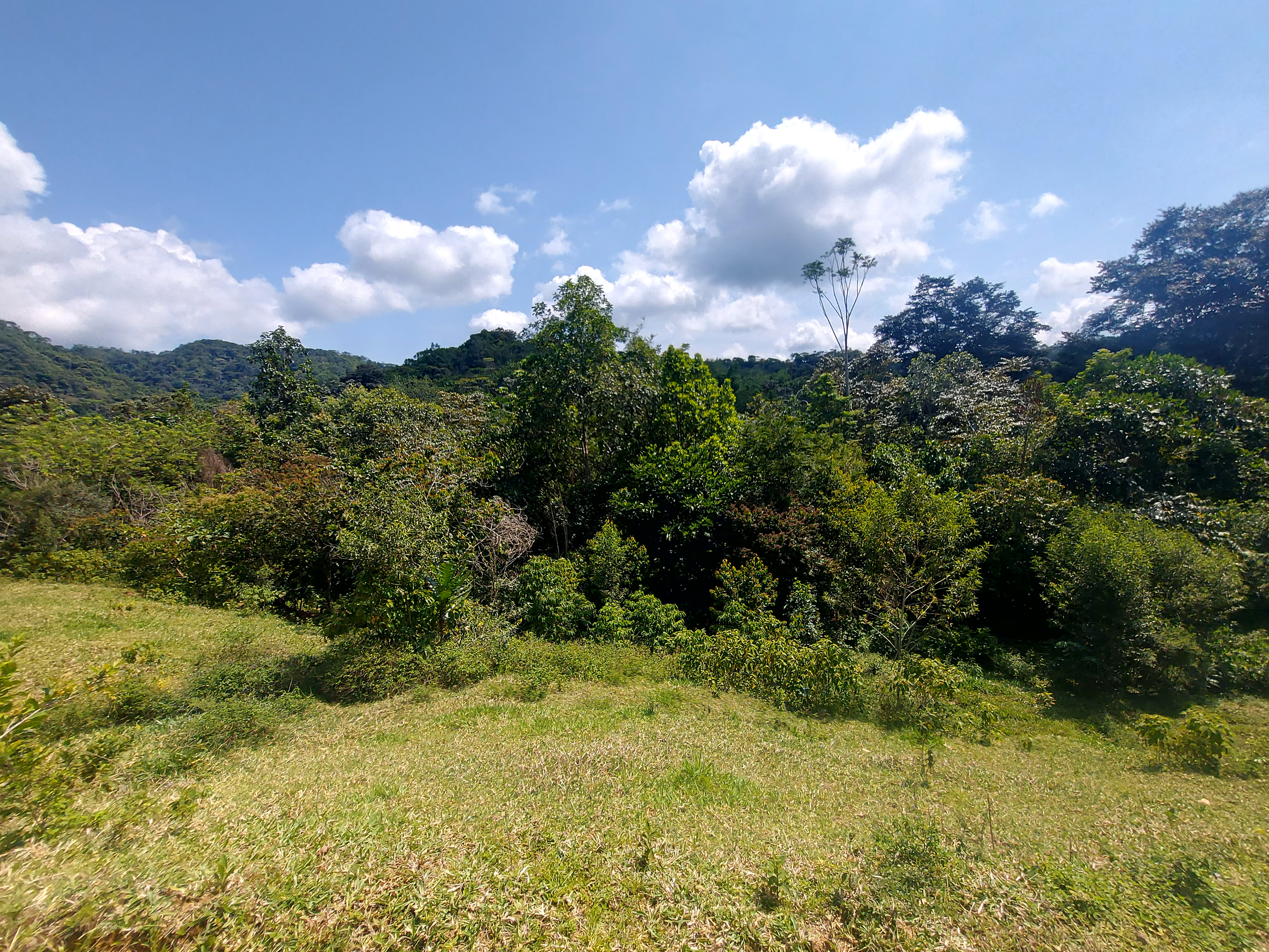 Finca en Venta - Sonsón, Antioquia - 2