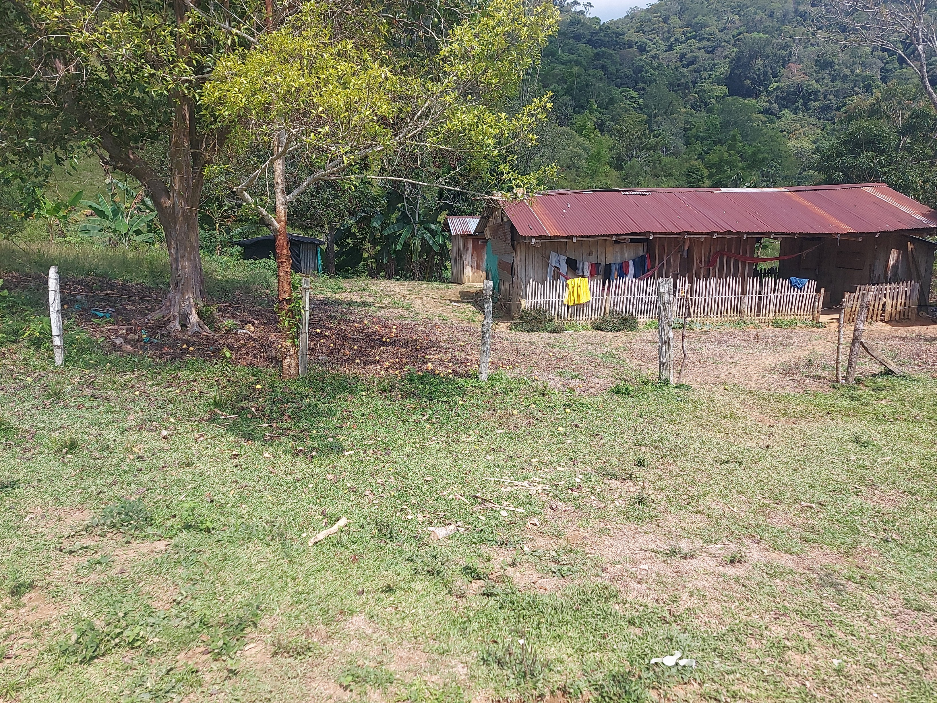 Finca en Venta - Sonsón, Antioquia - 15