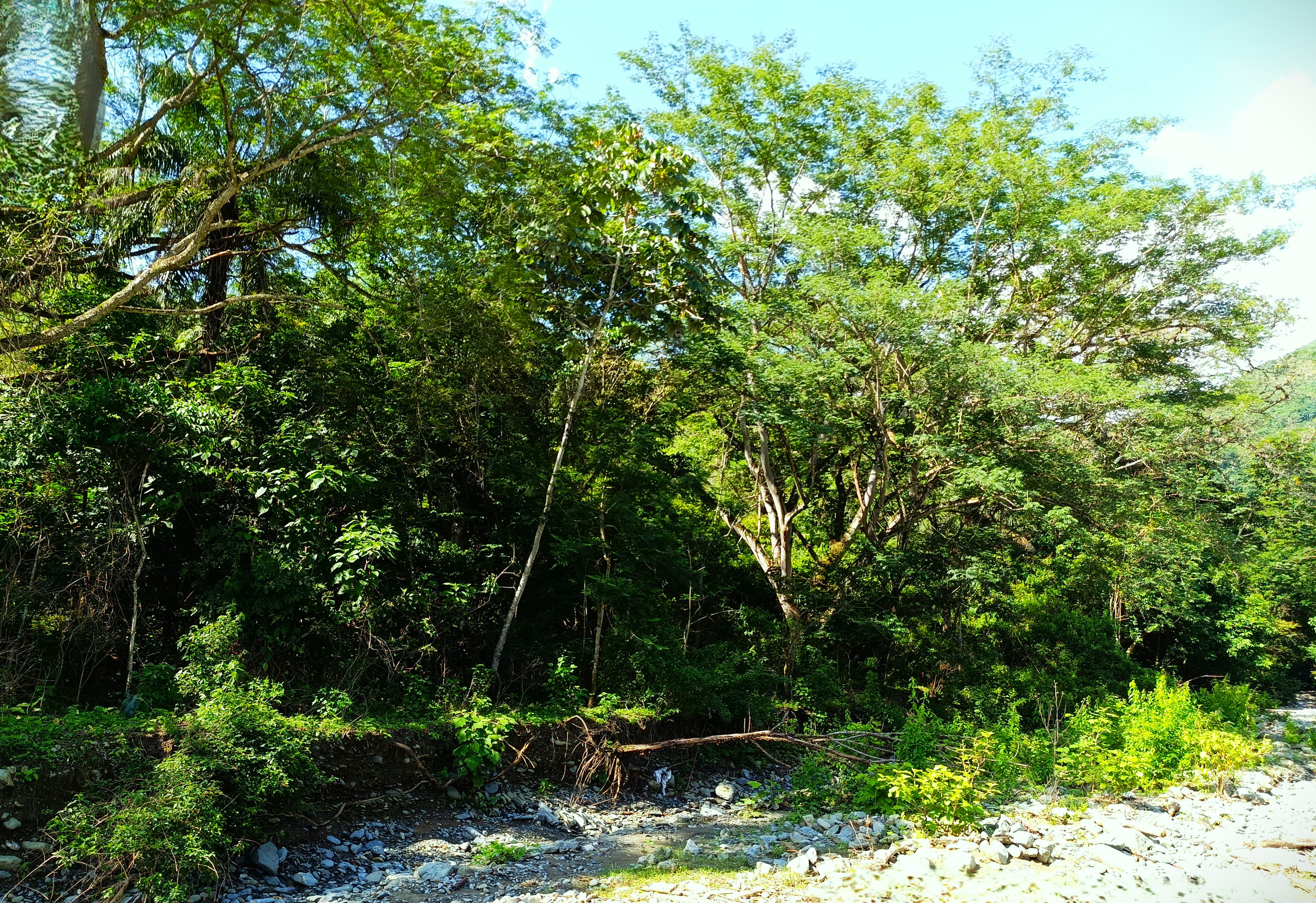 Finca en Venta, Ebejicó, Antioquia - 3