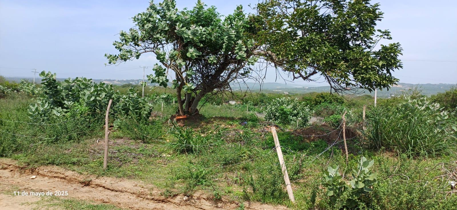 Lote en Venta - Salgar, Atlántico - 3