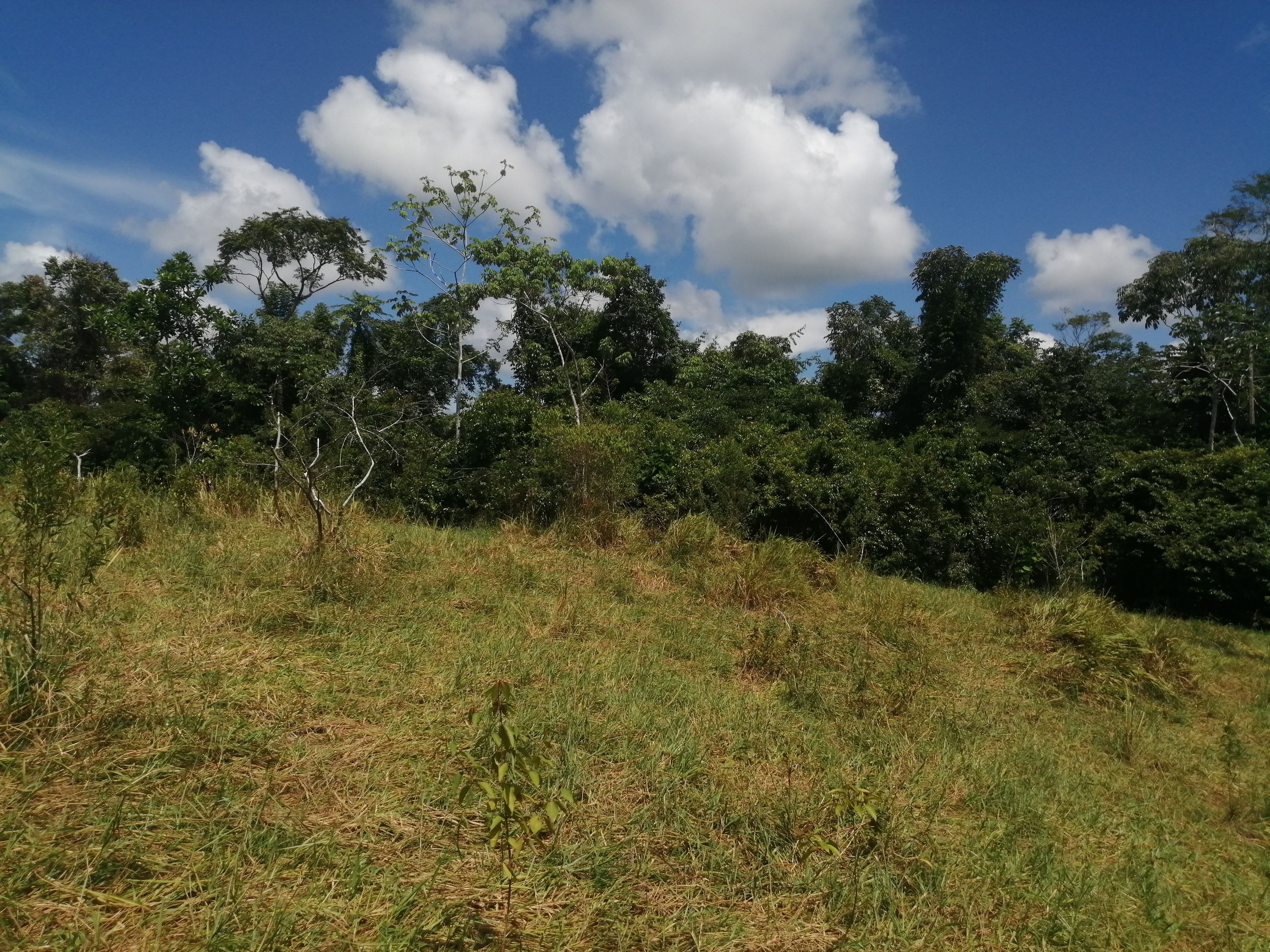 Finca en Venta - Taraza, Antioquia