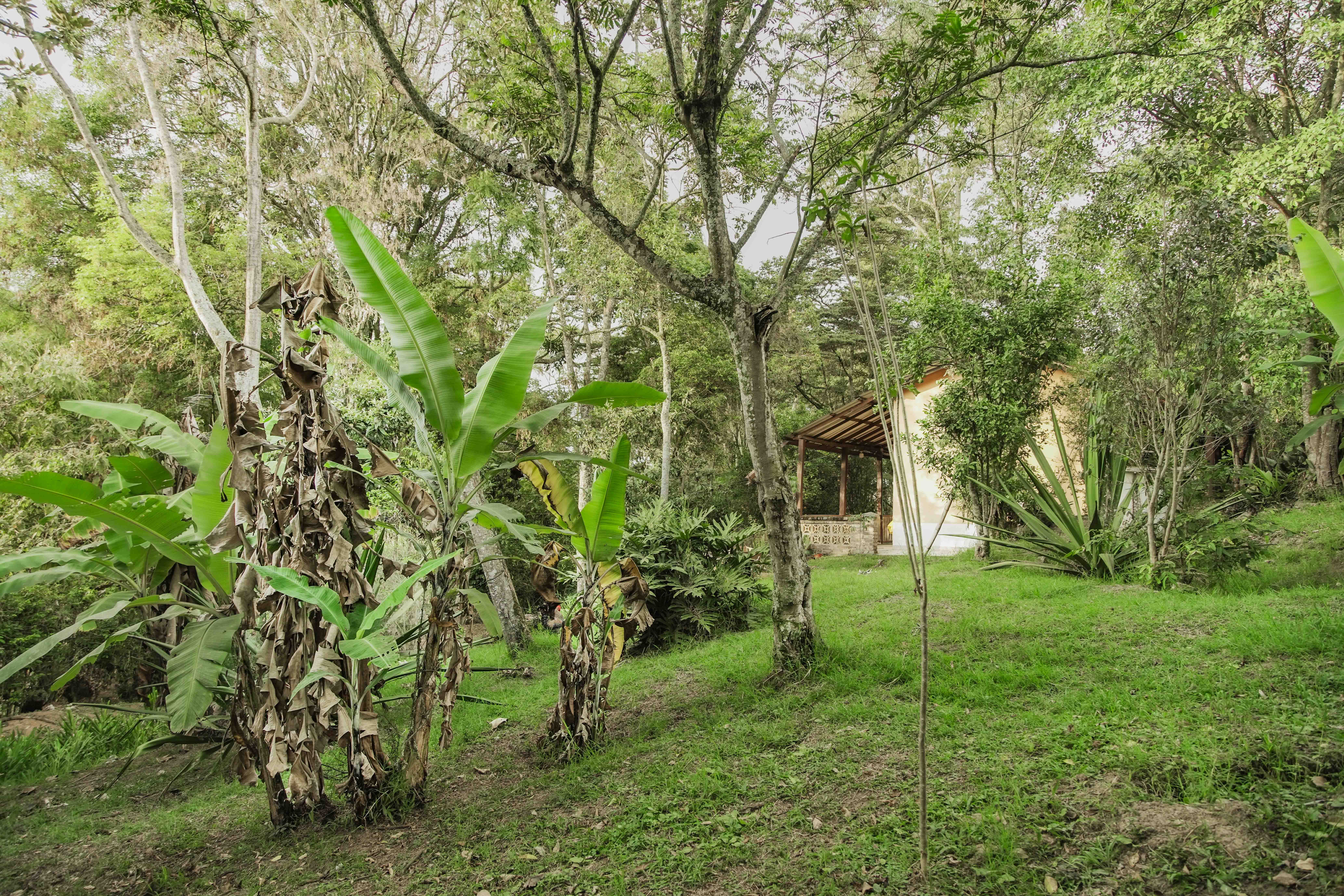 Finca en venta - Fusagasuga, Cundinamarca - 9