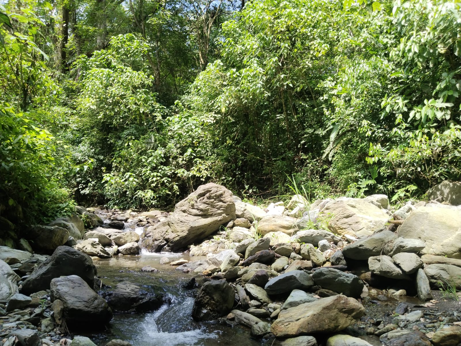 Finca - Ebéjico, Antioquia - 7