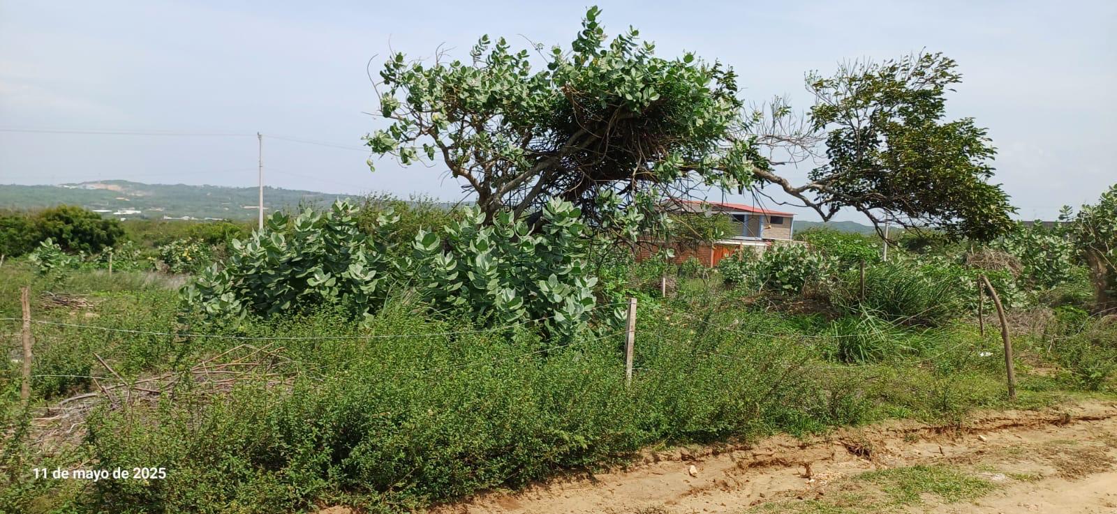 Lote en Venta - Salgar, Atlántico - 4